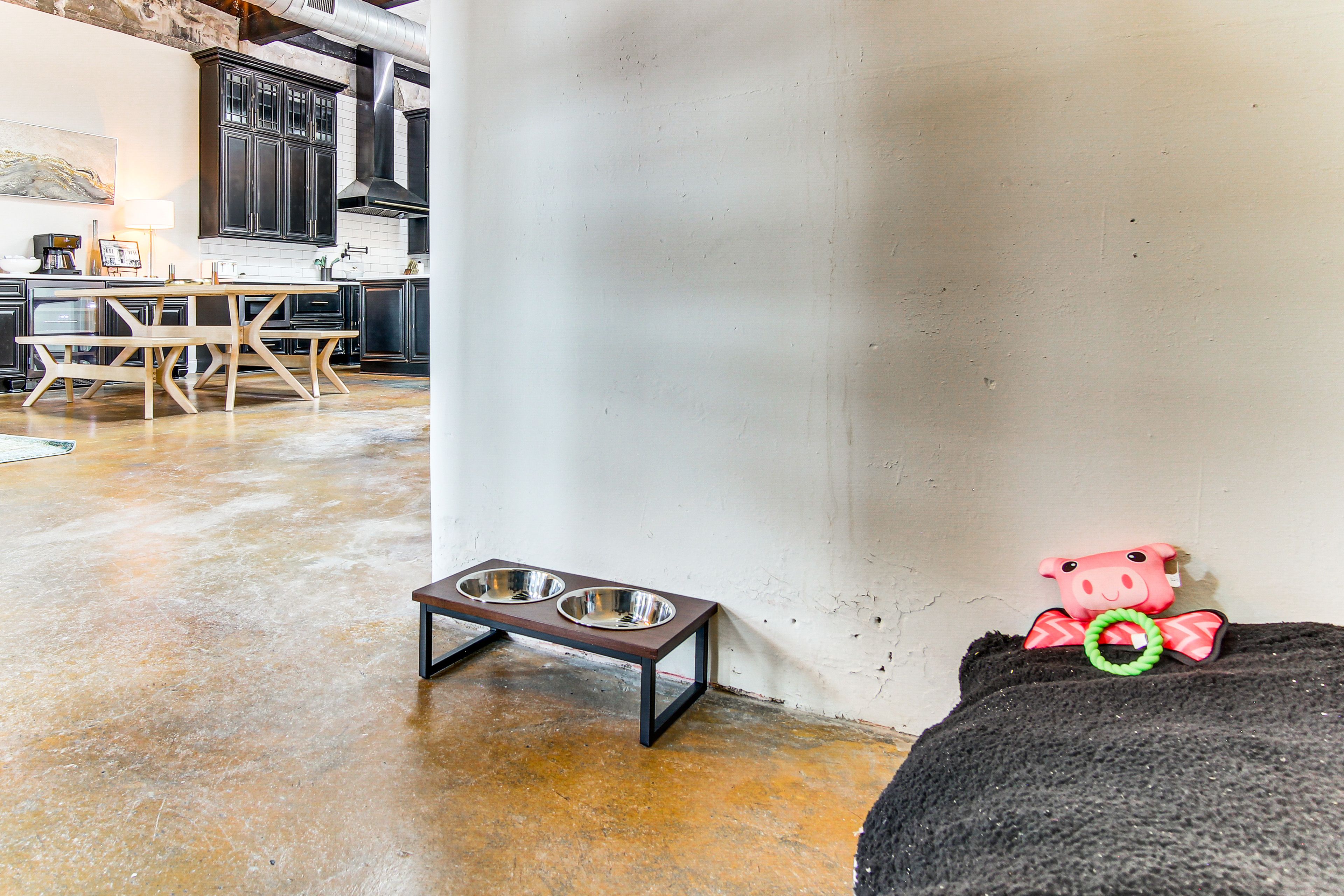 Pet Area | 1st Floor