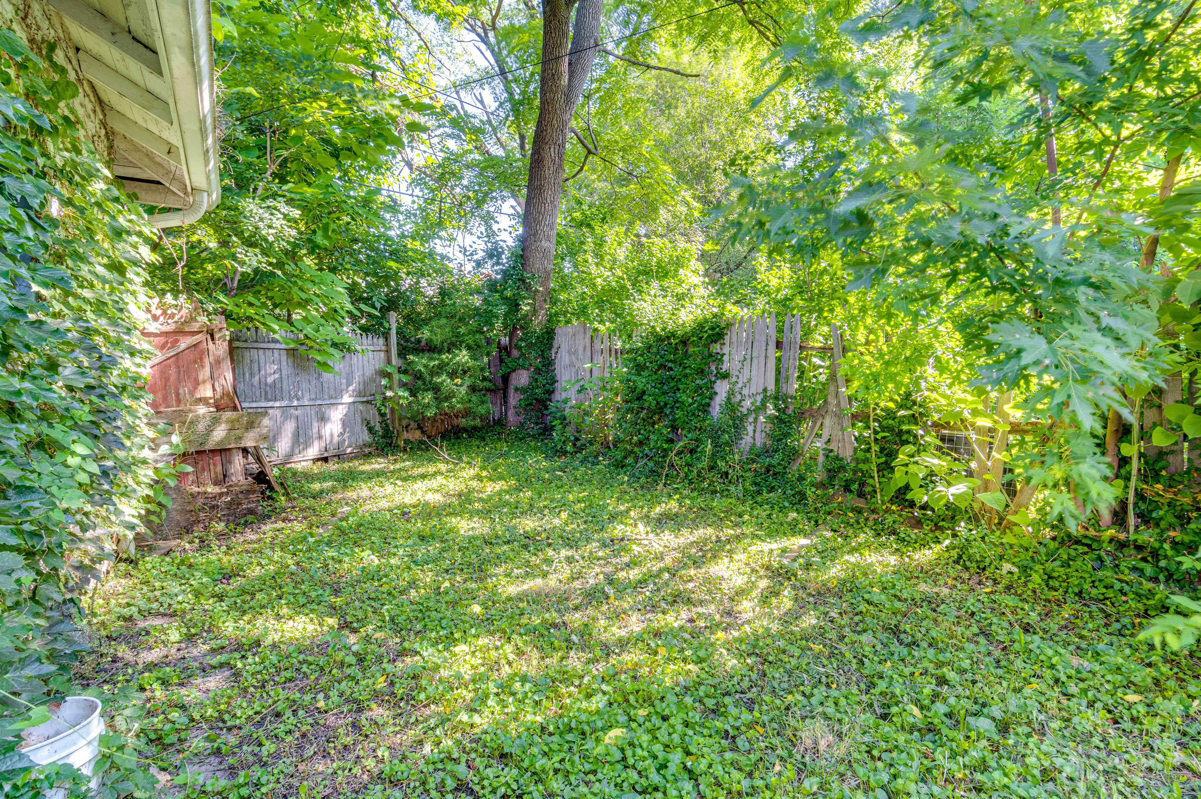 Fenced Backyard