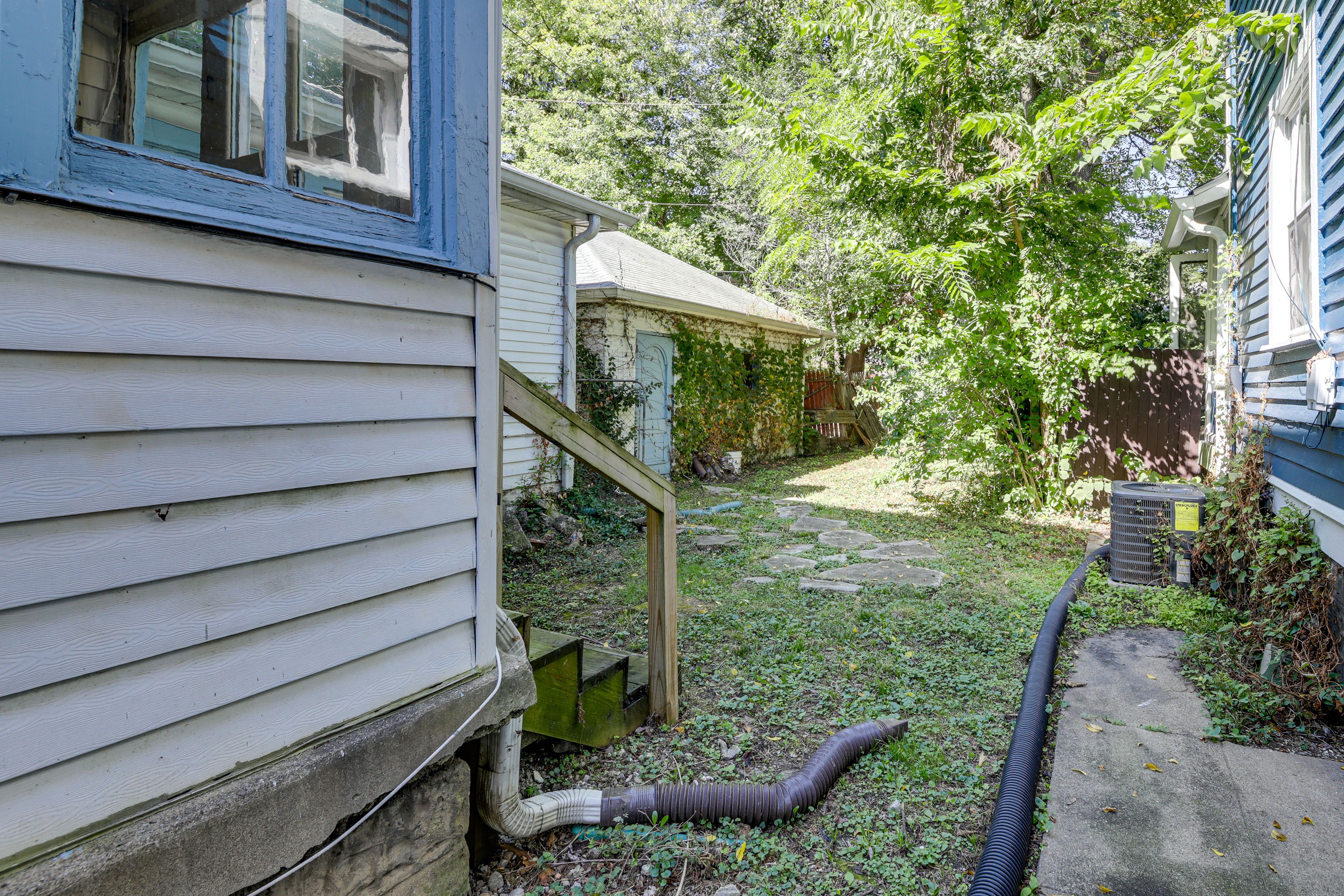 Image 19