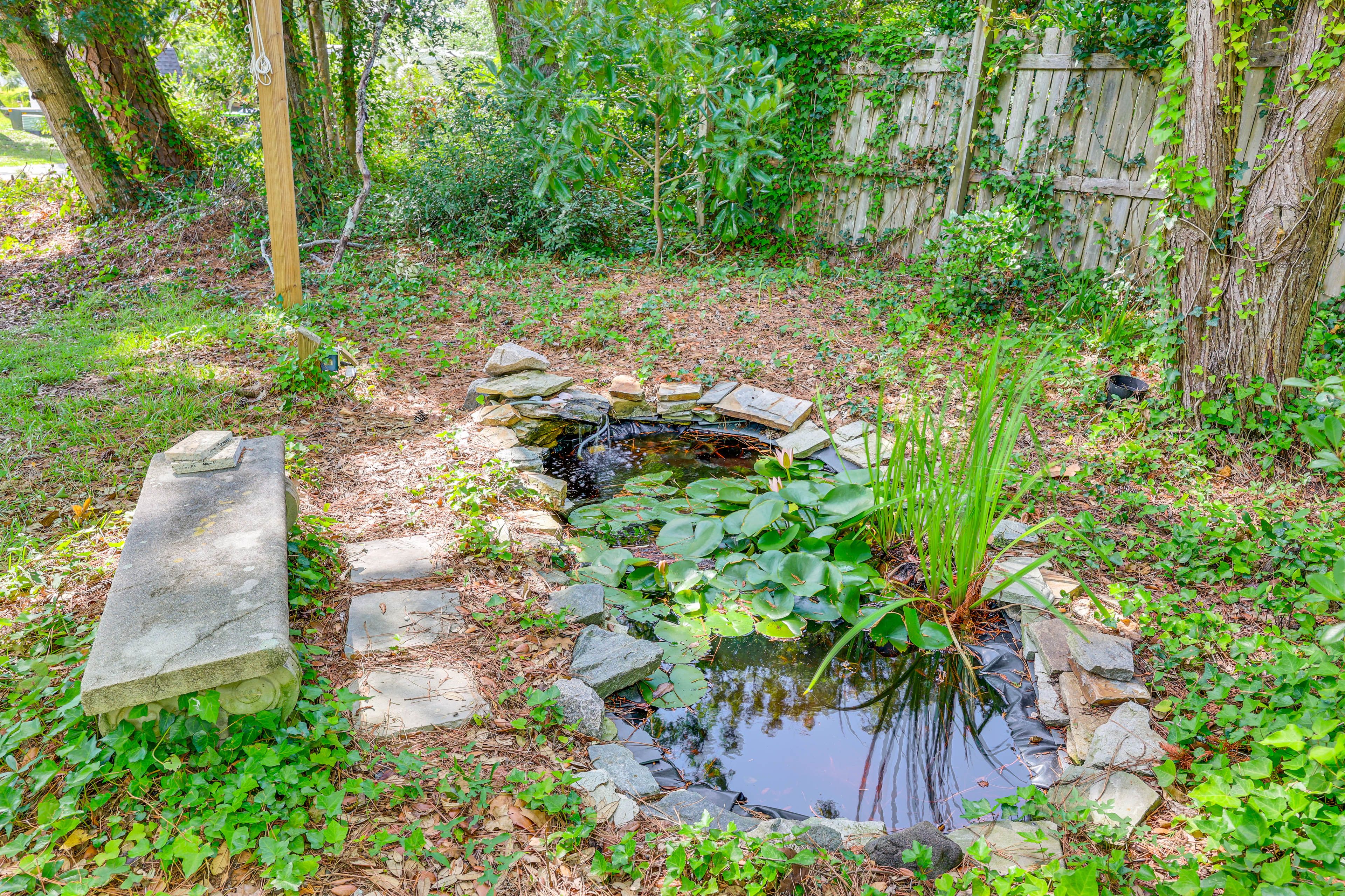 Koi Pond