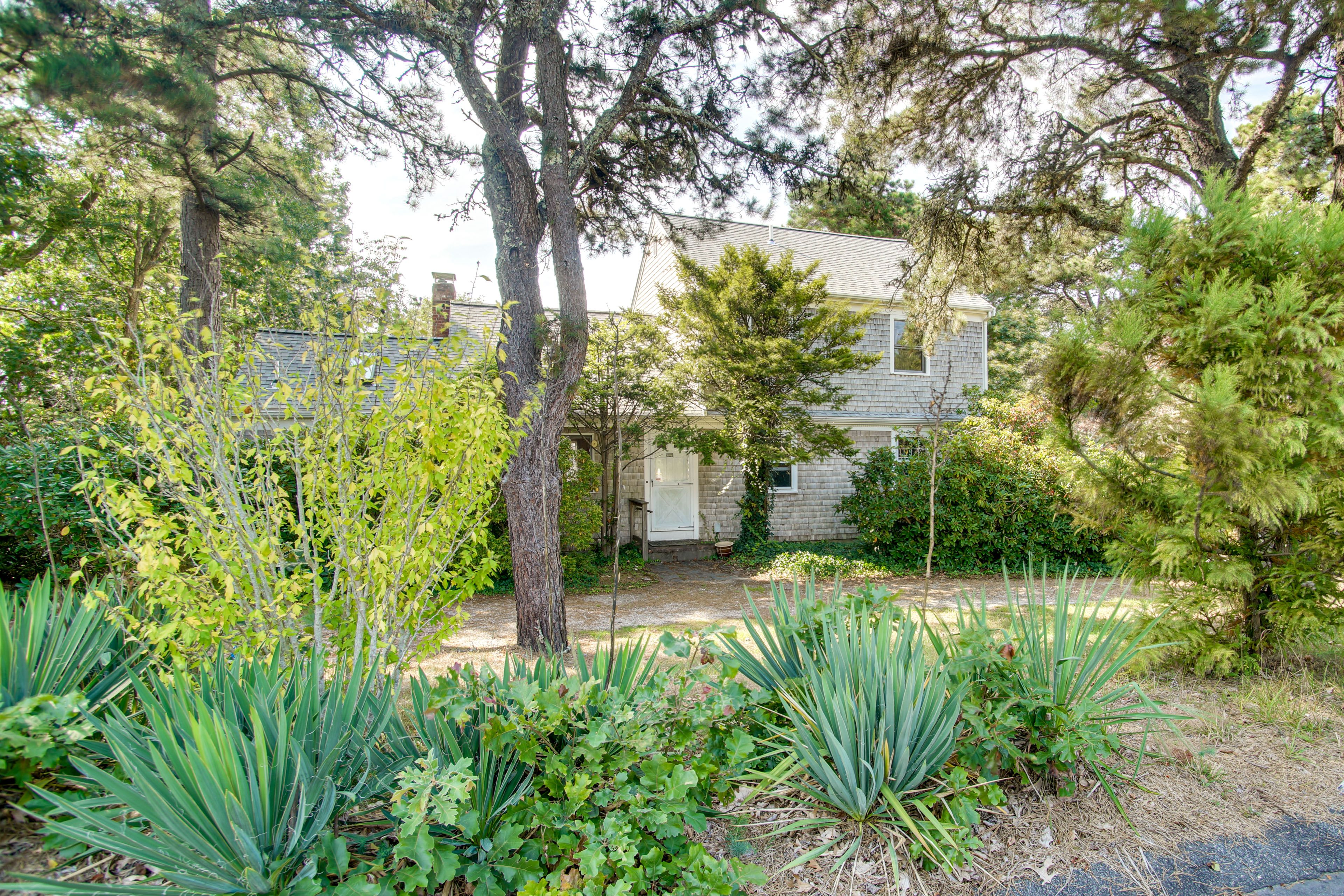 Parking | Driveway (3 Vehicles)