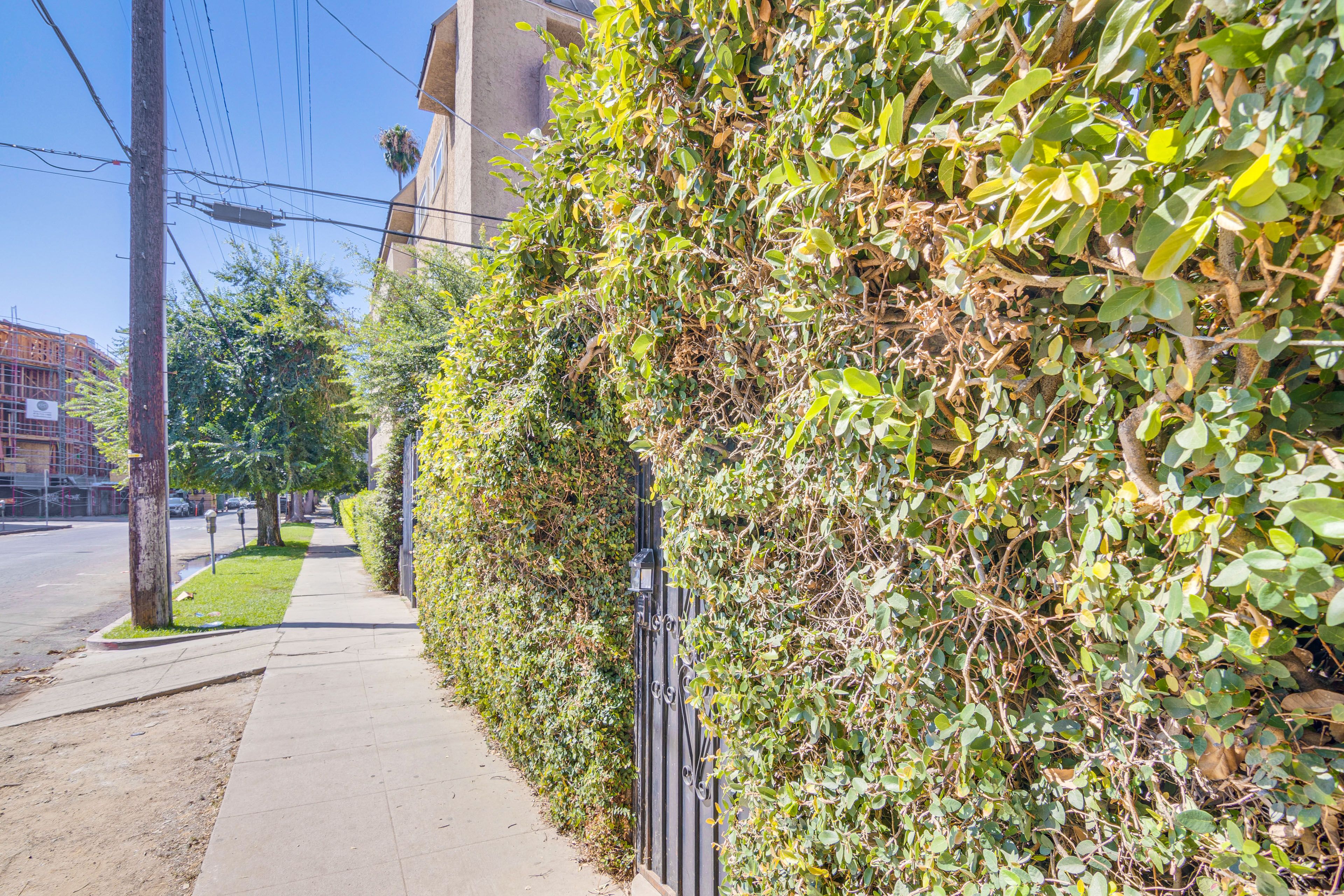 Parking | Driveway (1 Vehicle)