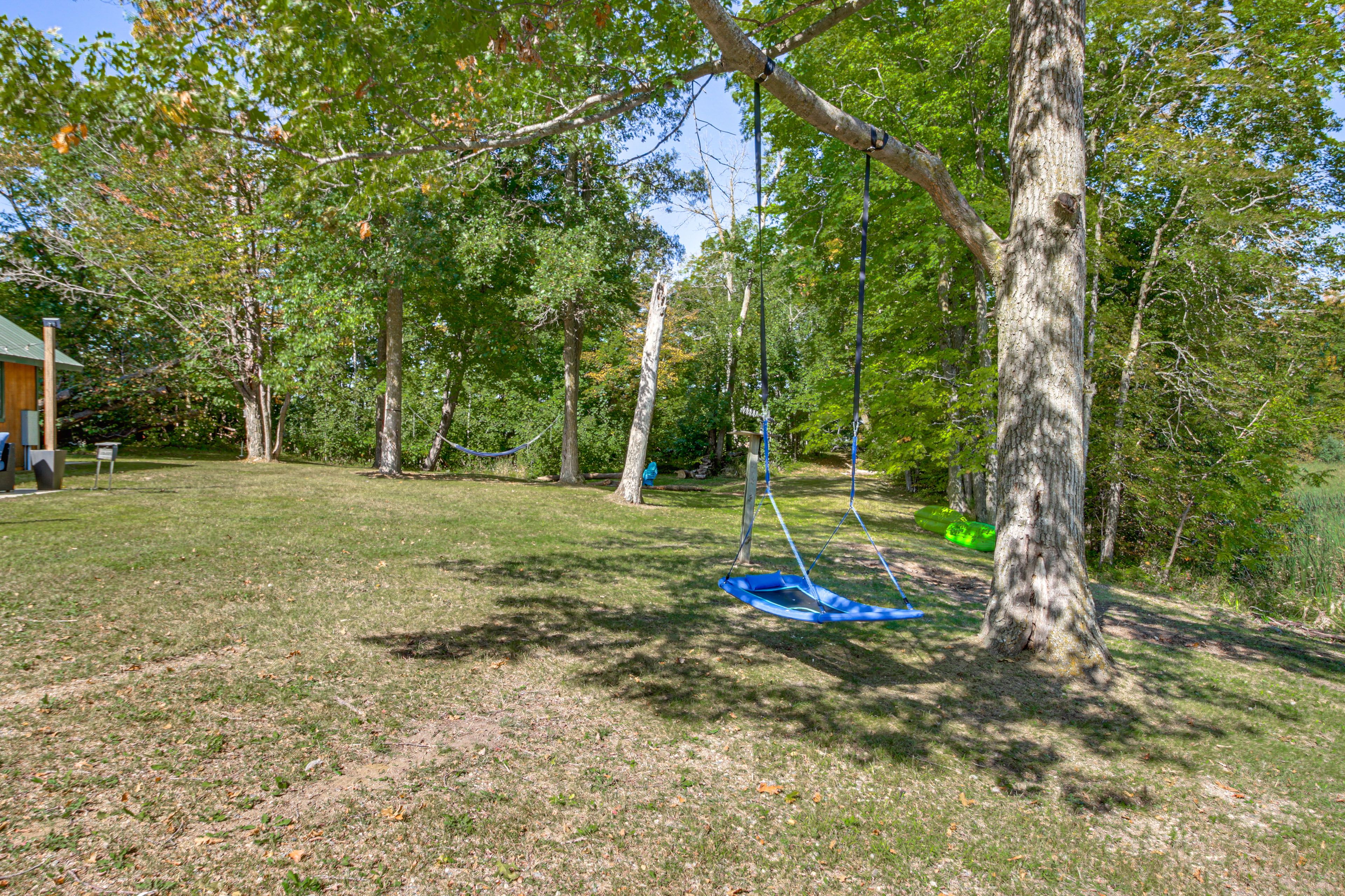 Spacious Yard | Tree Swing | Hammock
