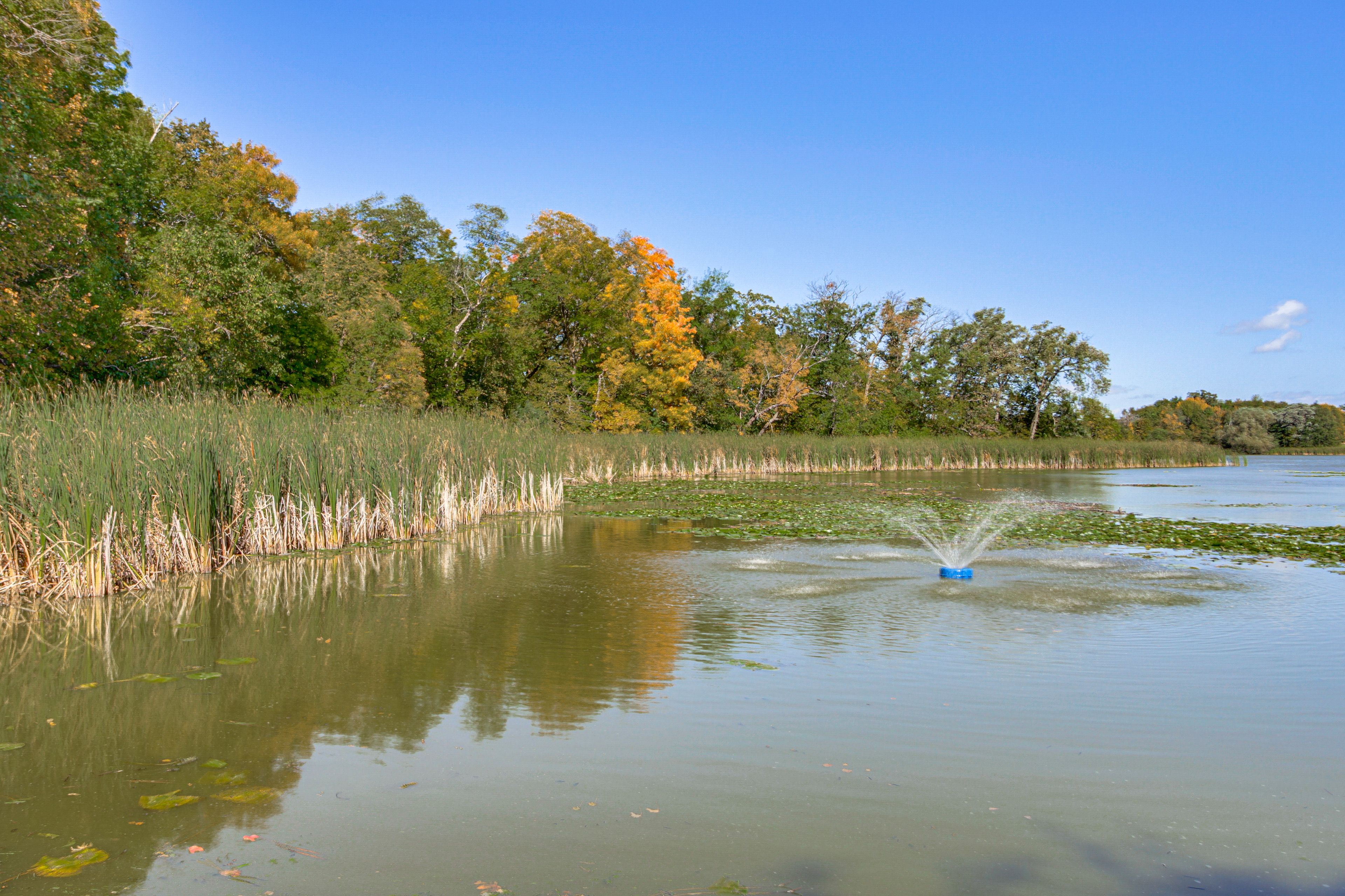 Long Lake | 7-Acre Property