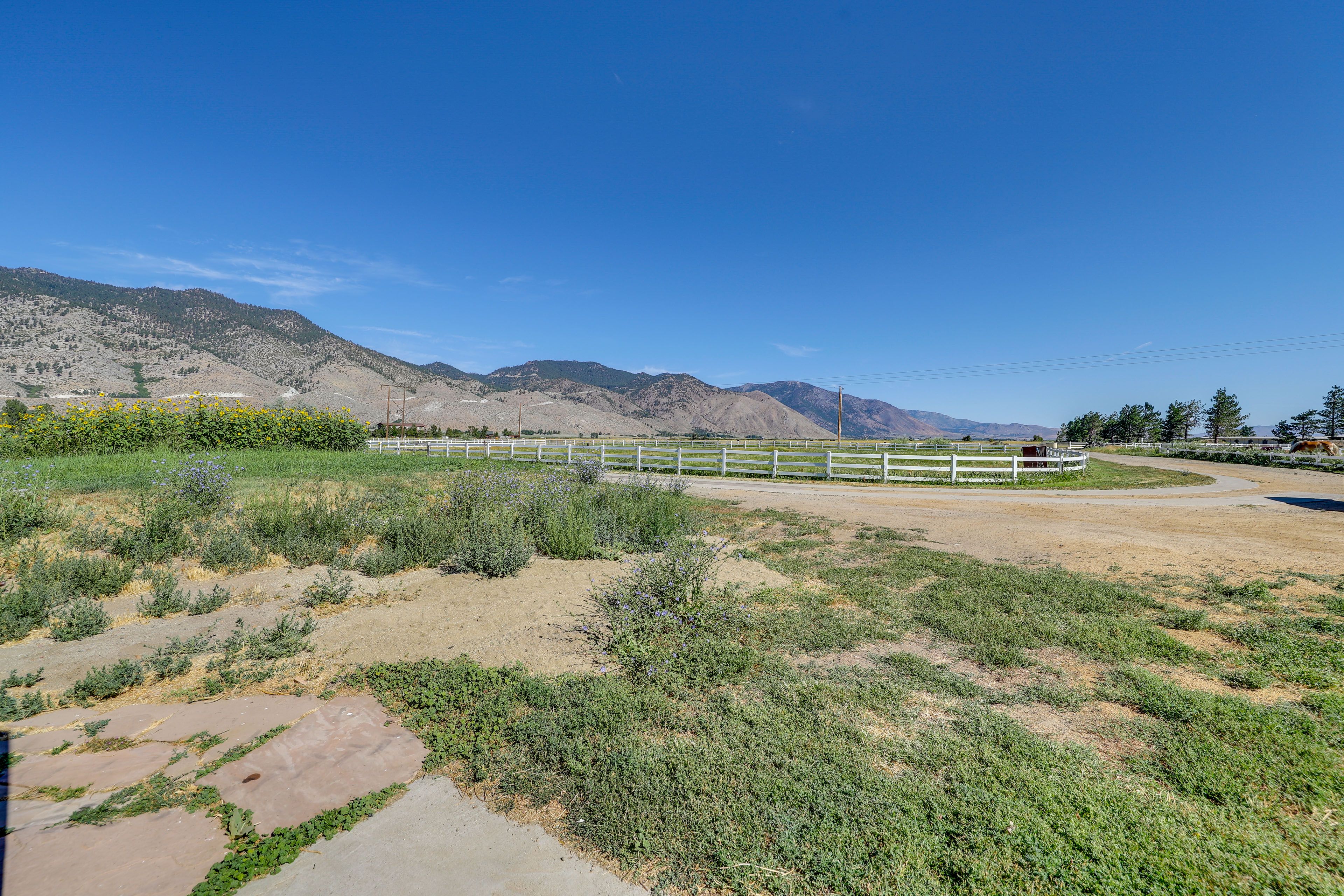 Ranch Property | Mountain Views