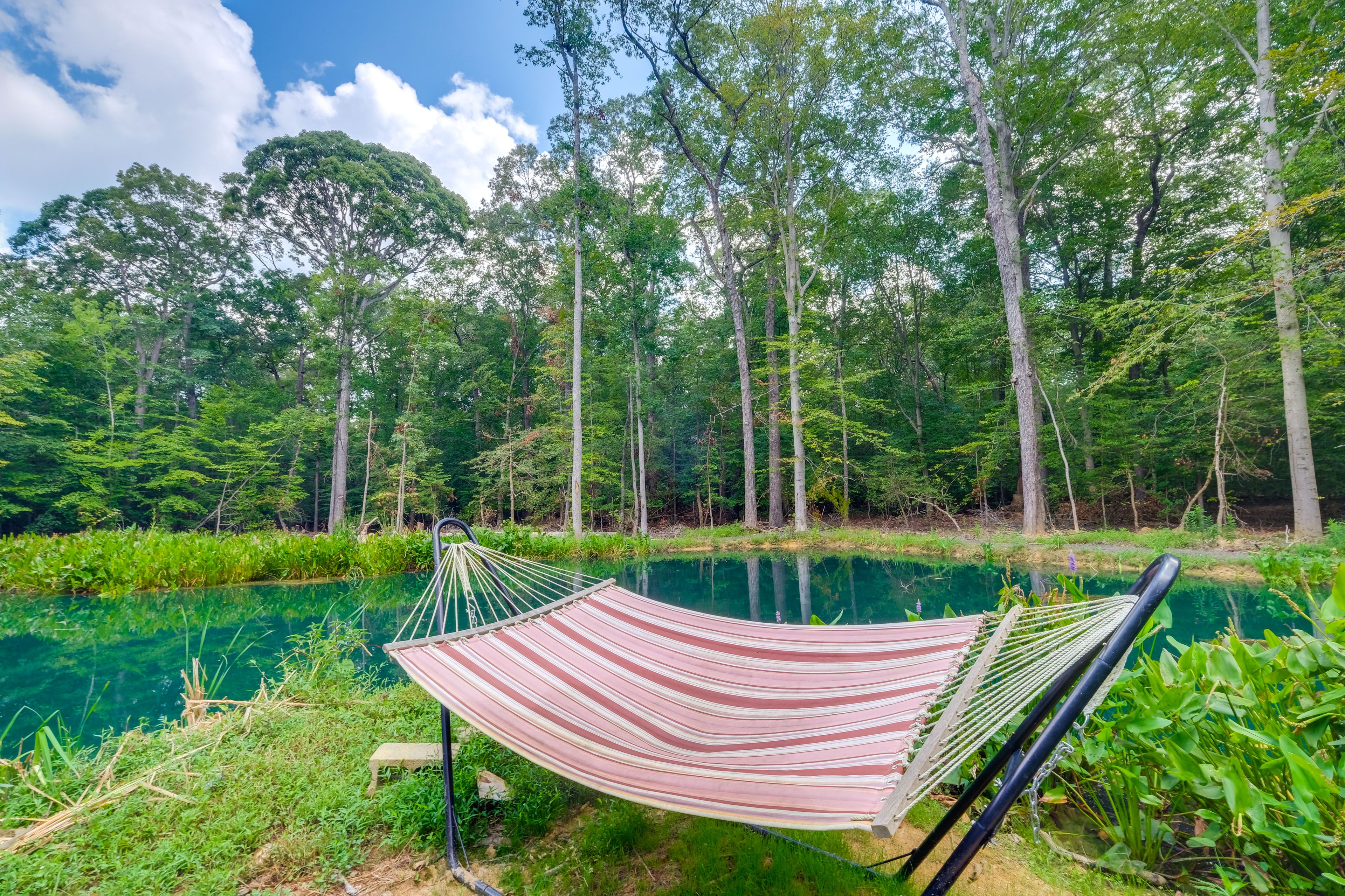 Half-Acre Pond (No Swimming or Diving)