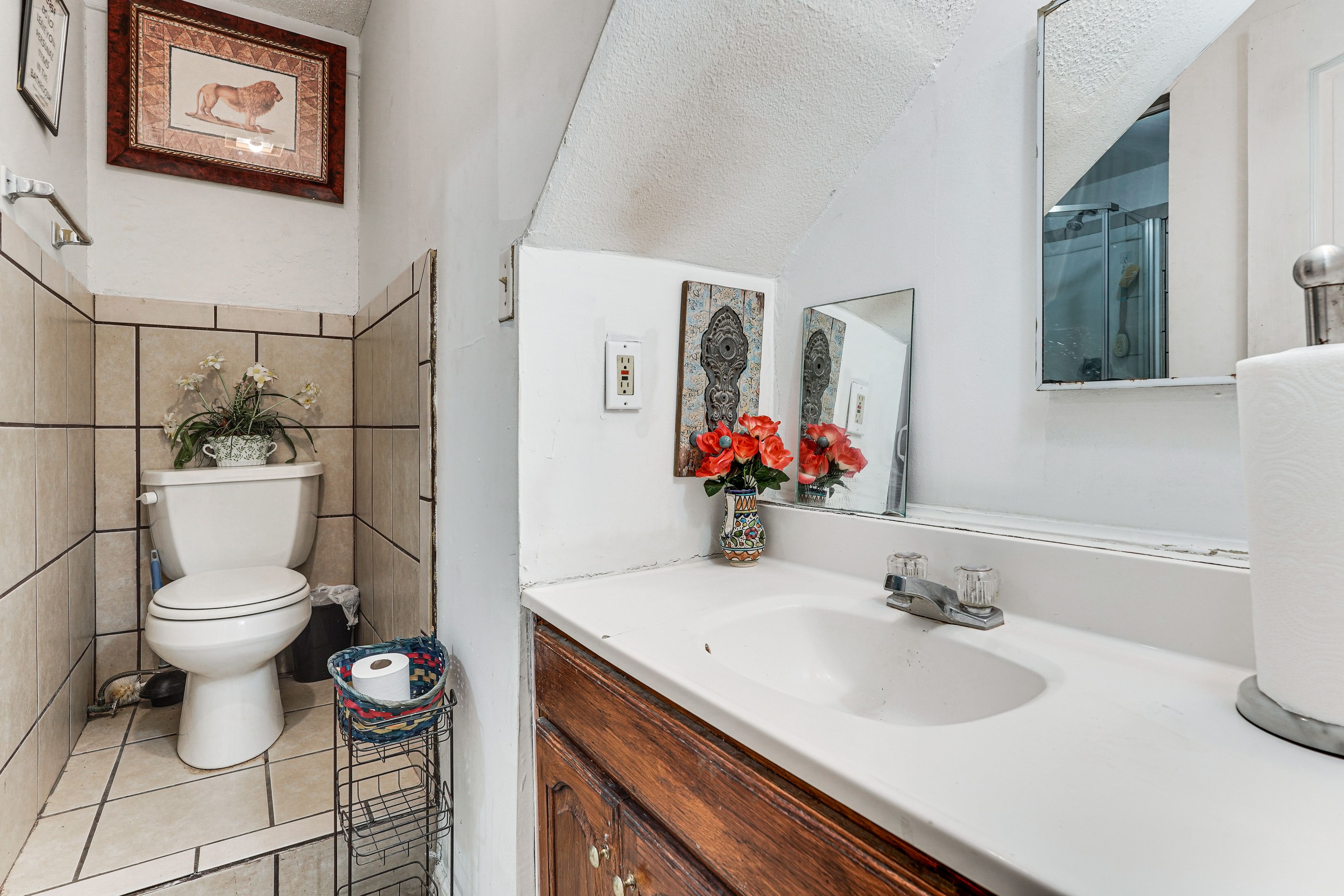 Bathroom | Lower Floor