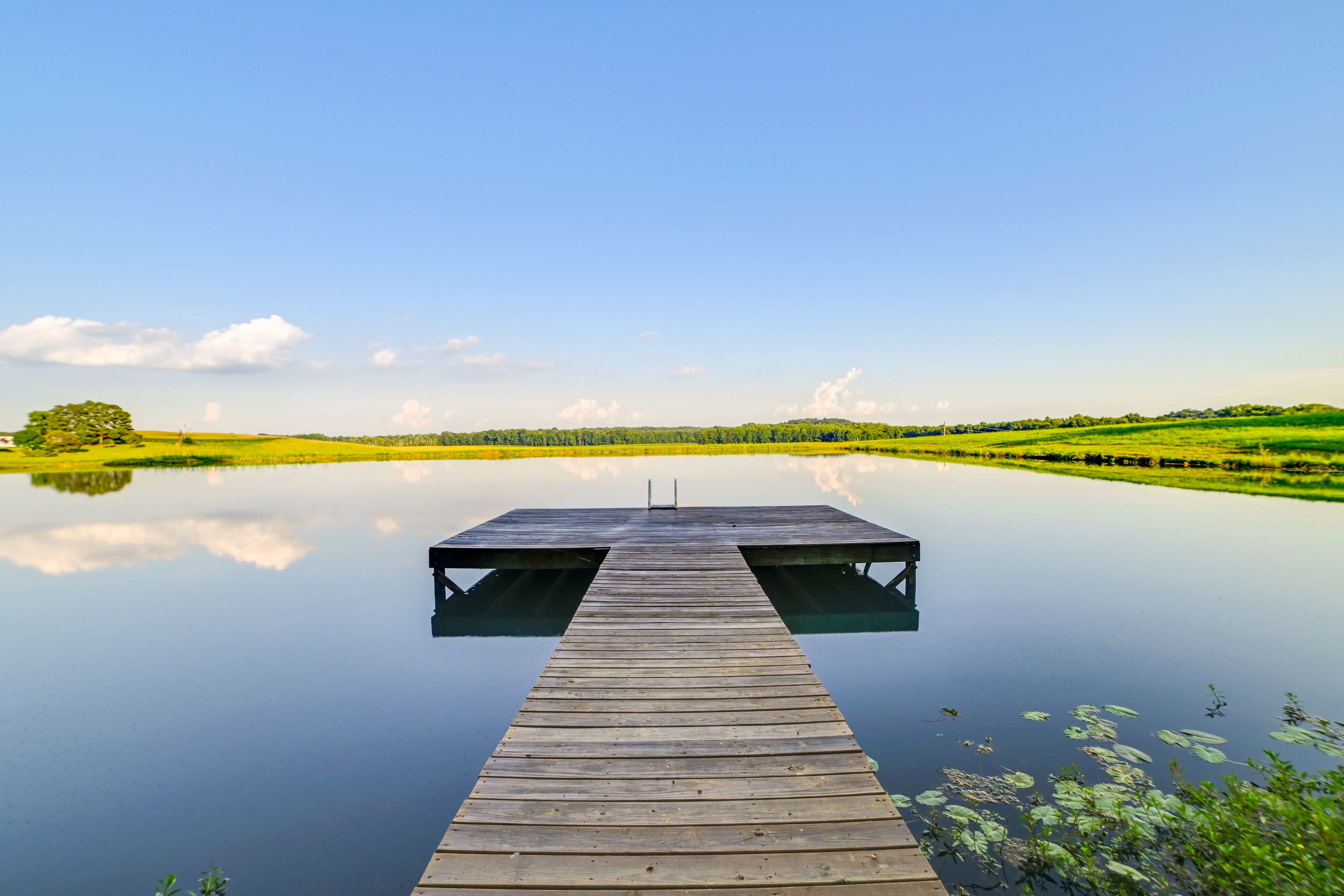 Private Dock | Swim Ladder