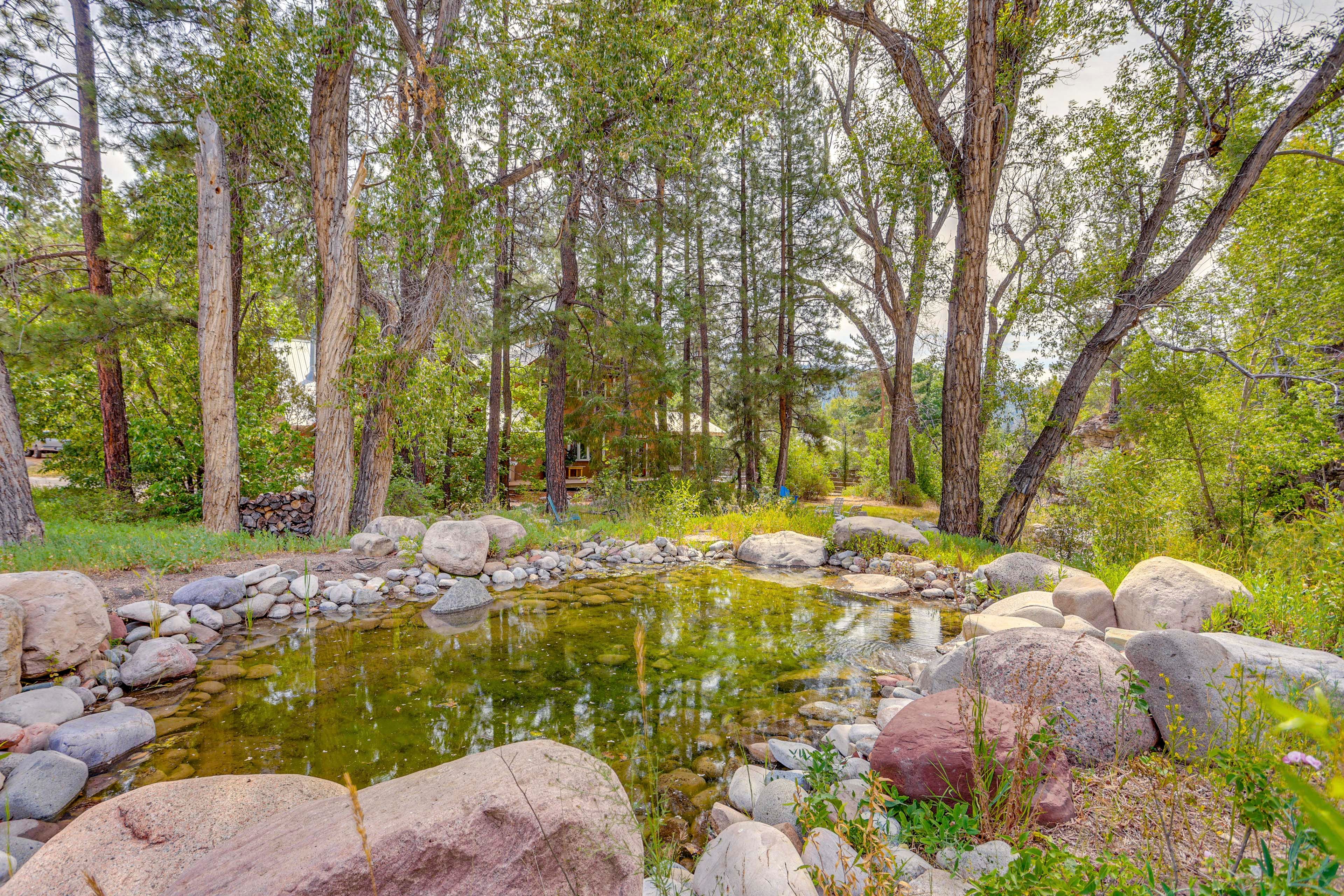 Creek On-Site