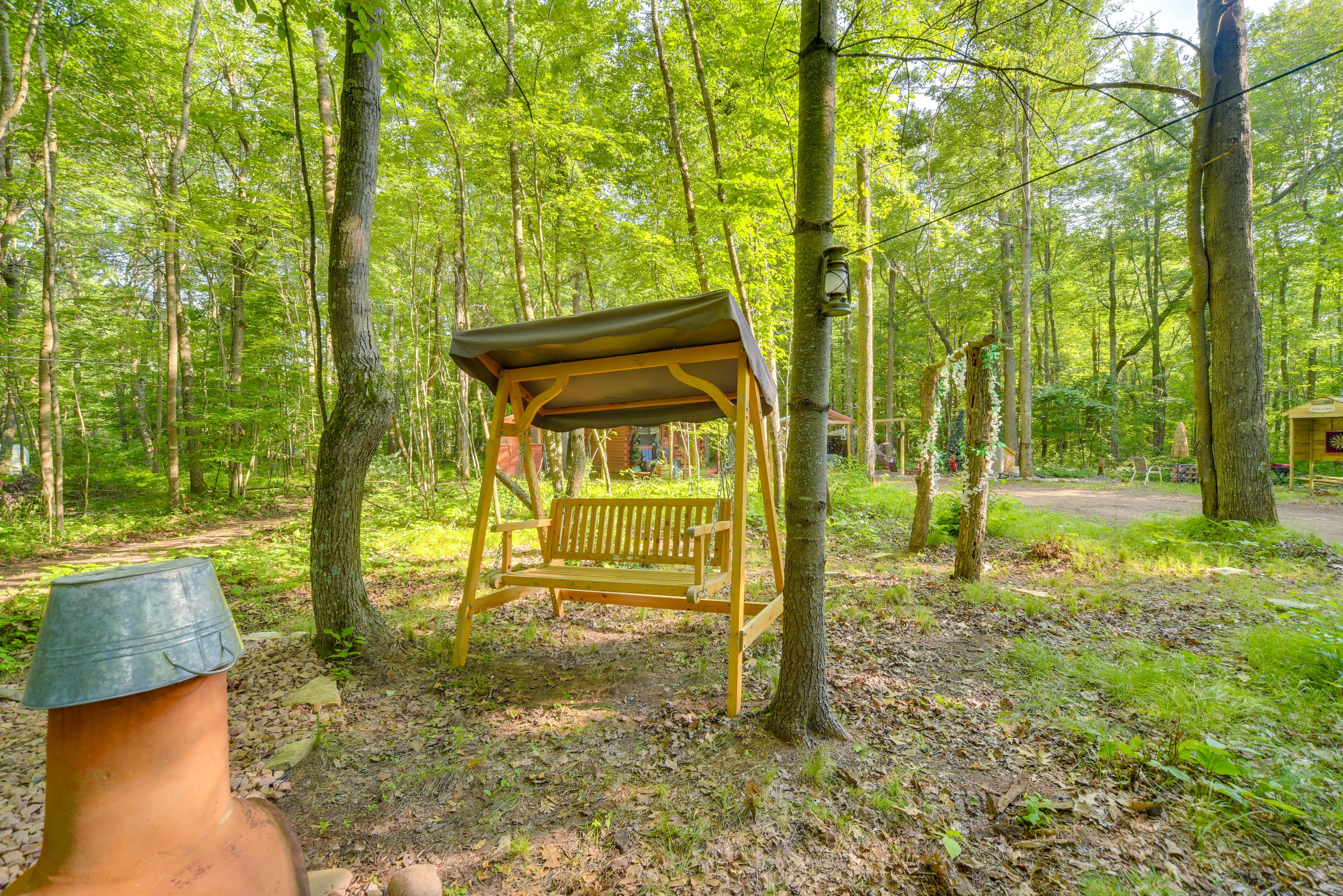 Forested Surroundings