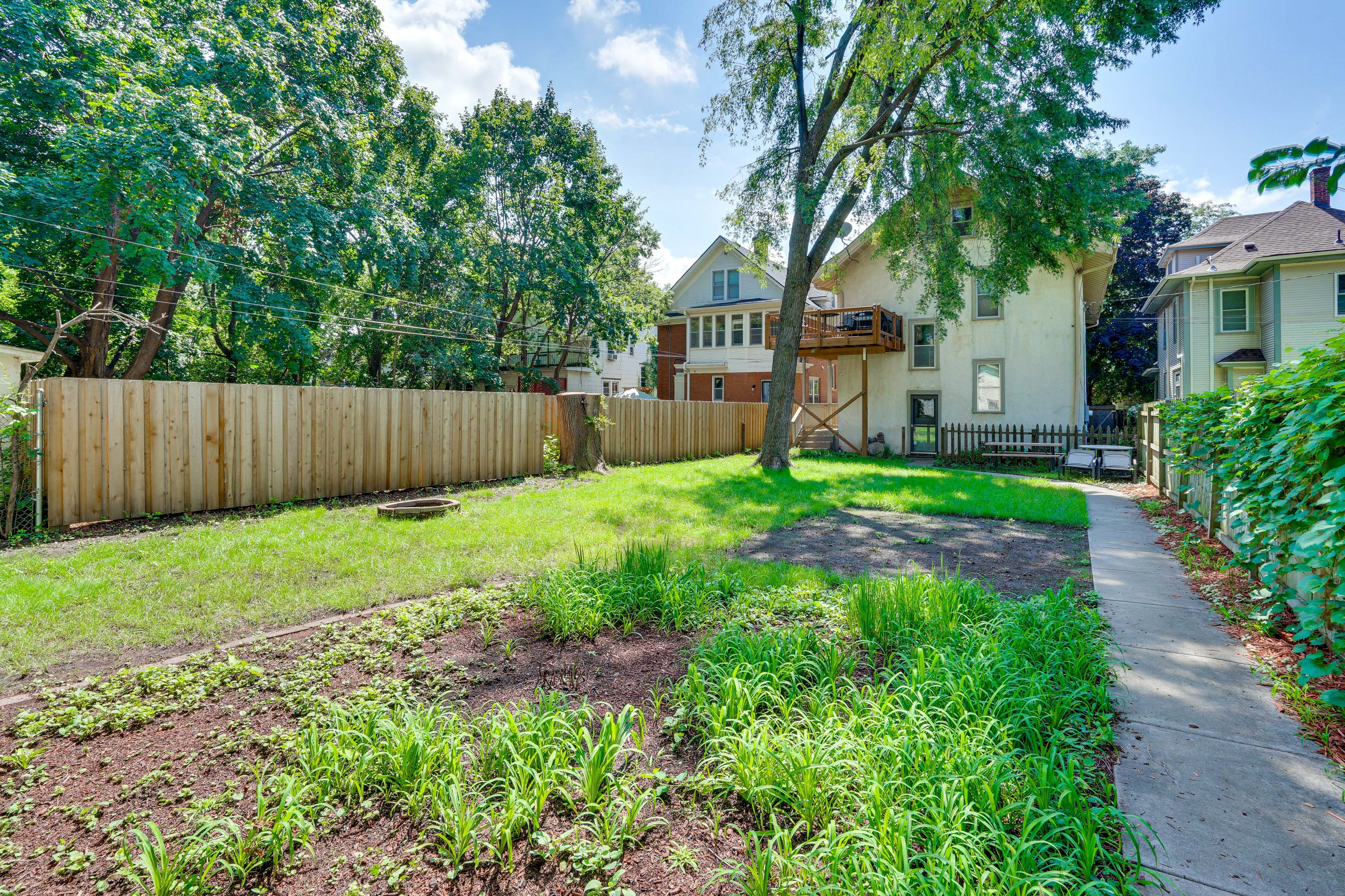 Shared Backyard