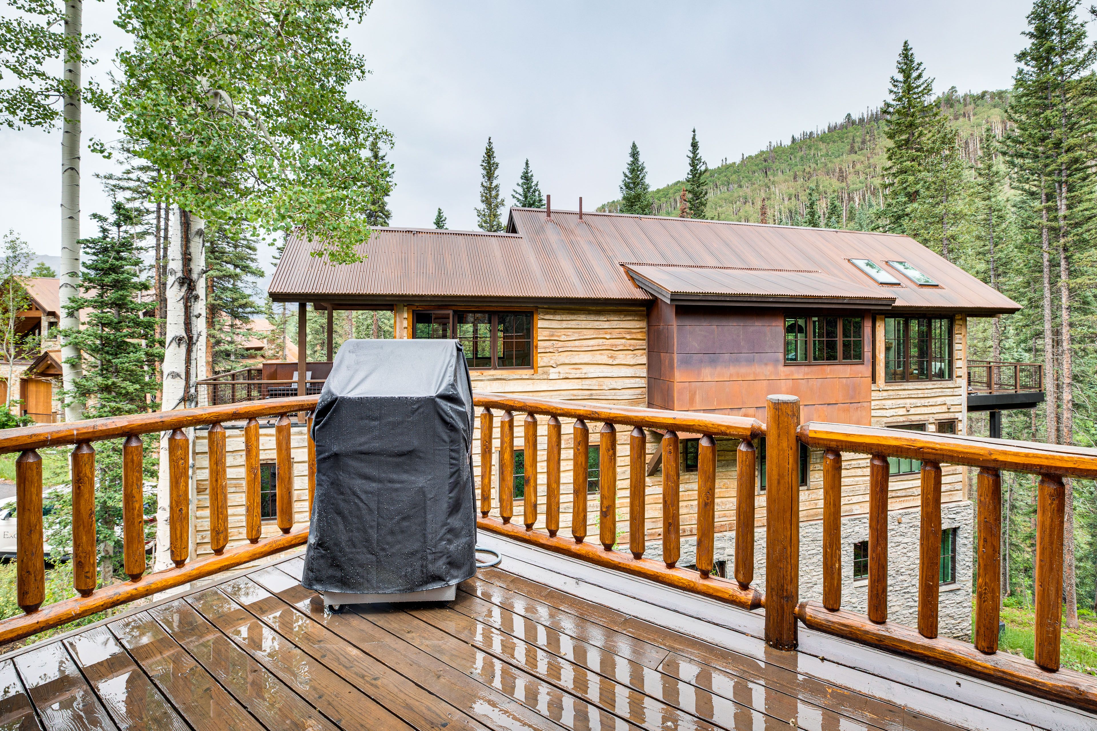 Deck | Grill | Mountain View