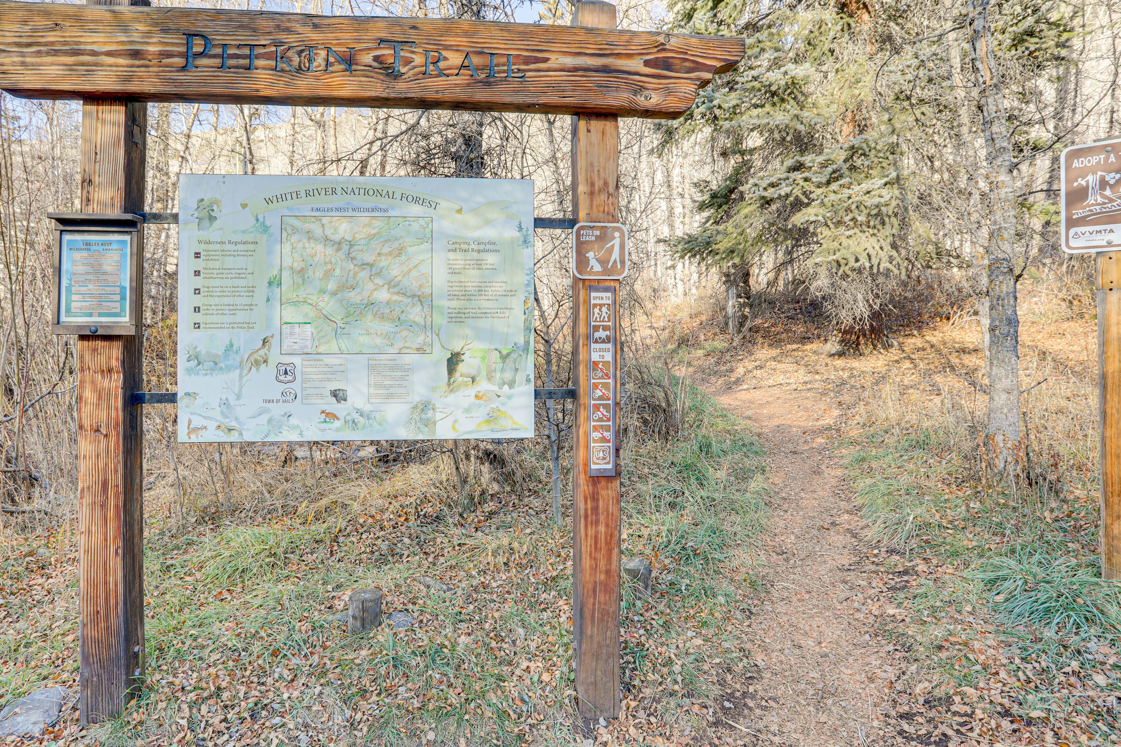 Walk to Pitkin Trail