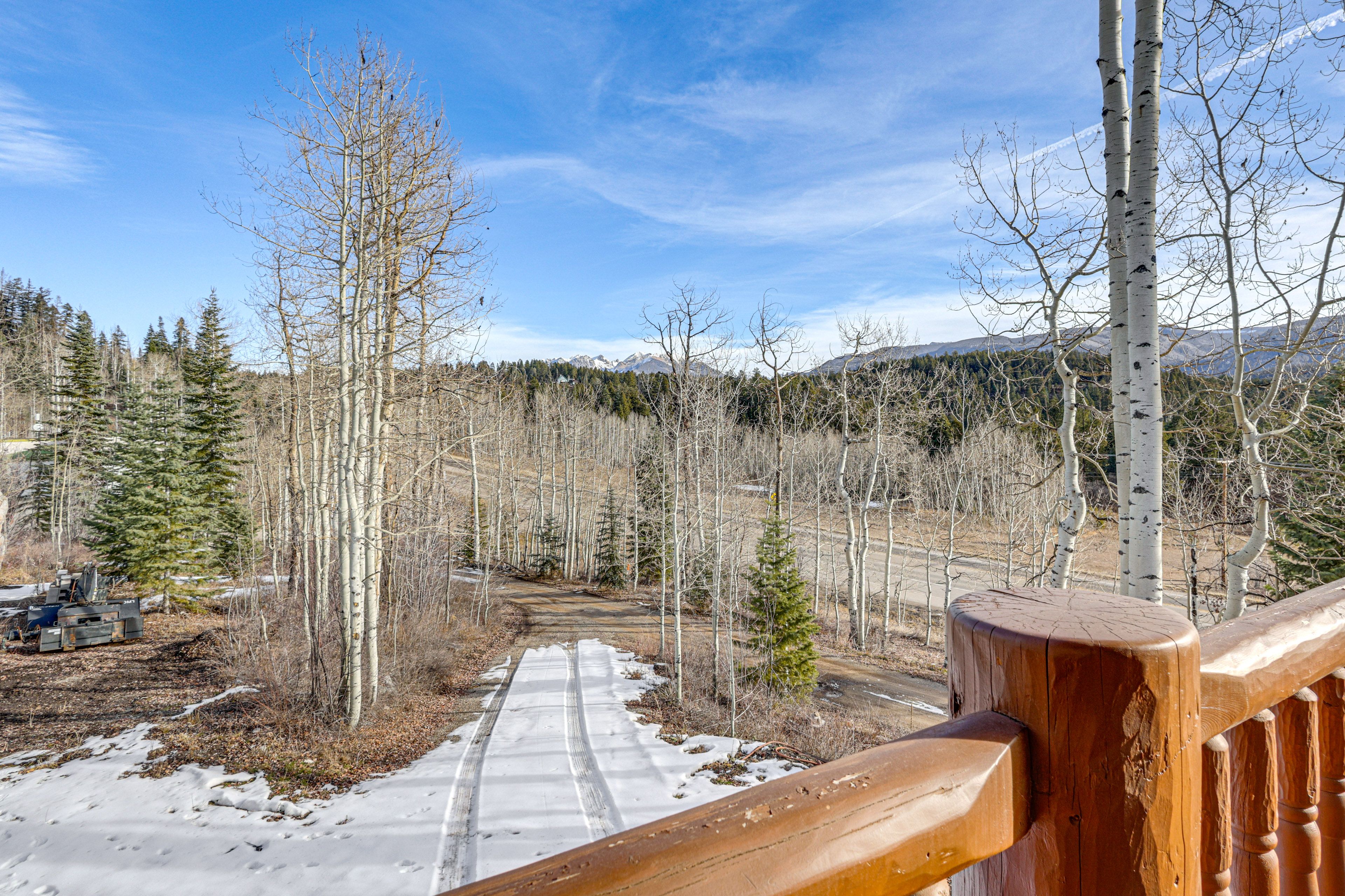 Forest & Mountain Views