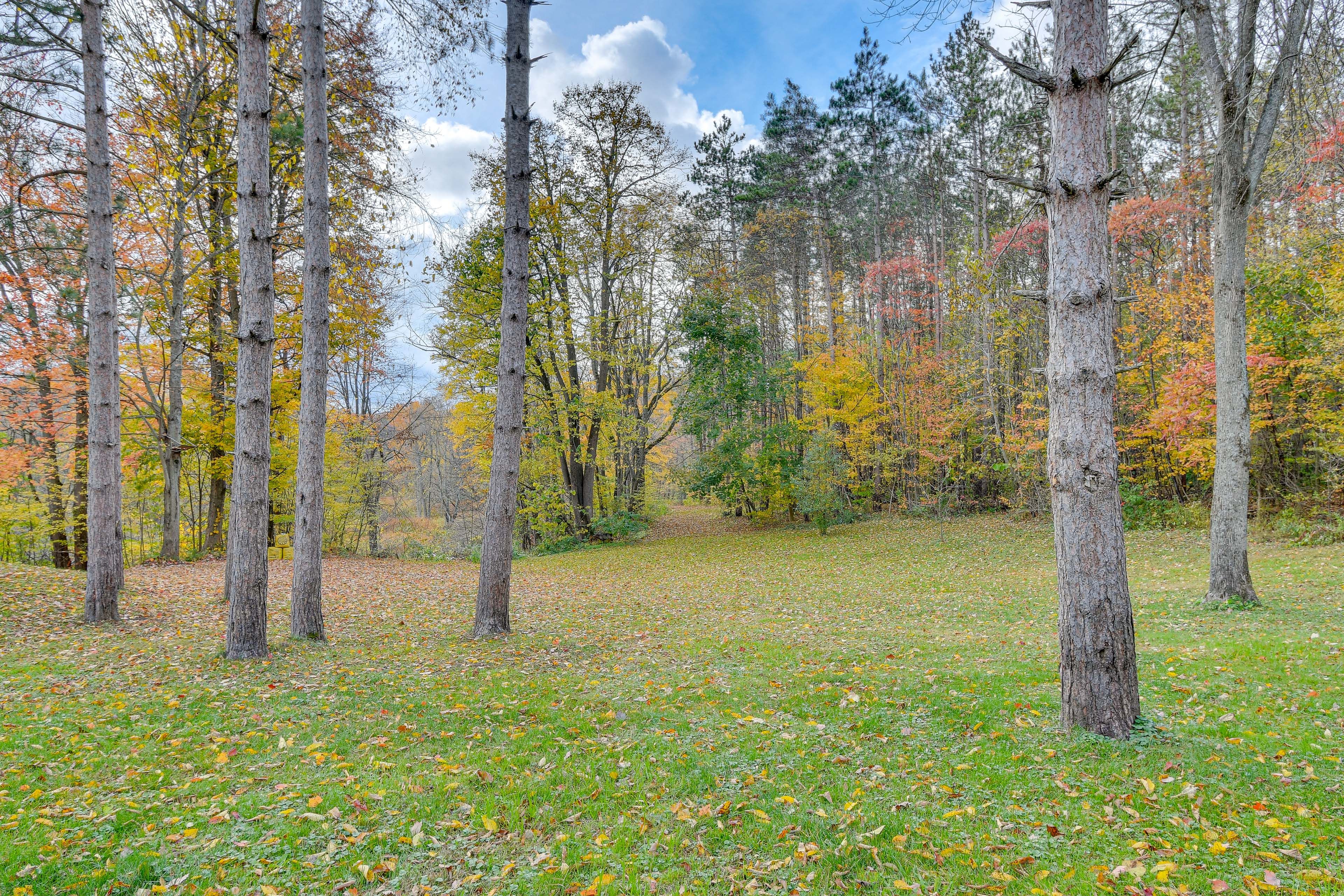 Spacious Yard | Wood-Burning Fire Pit