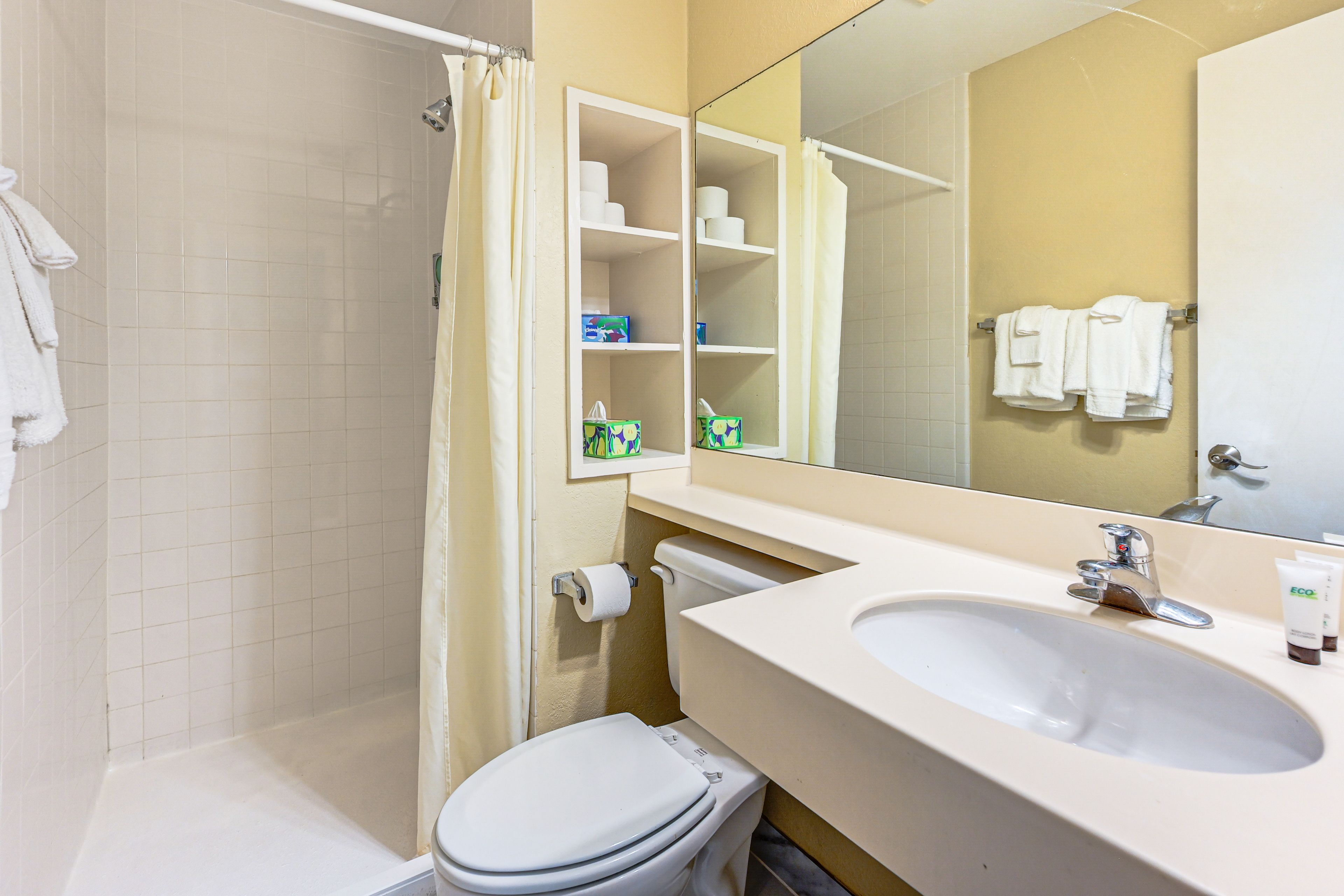 Full Bathroom | Shampoo & Conditioner | Body Wash | Hair Dryer