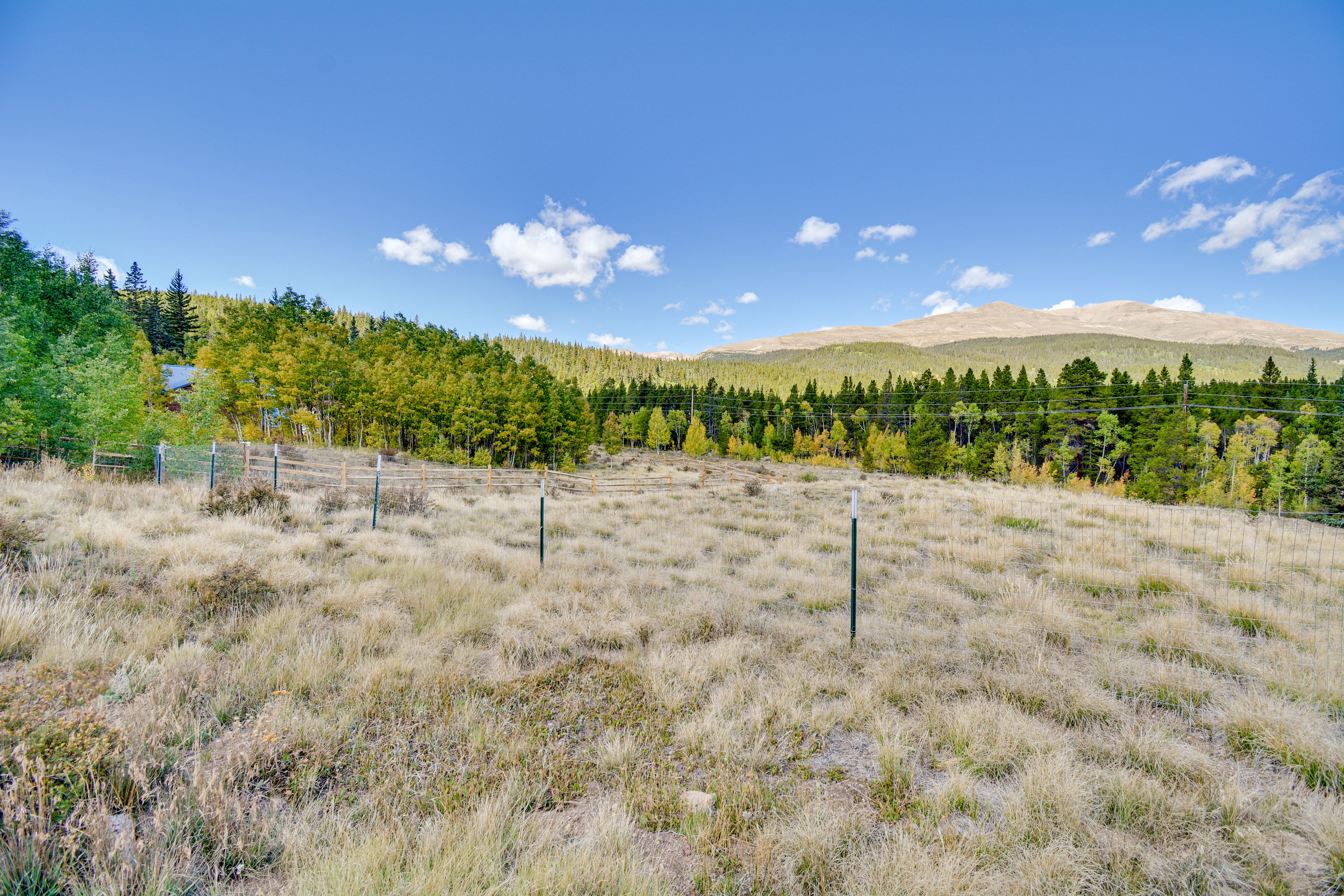 Surrounding Views