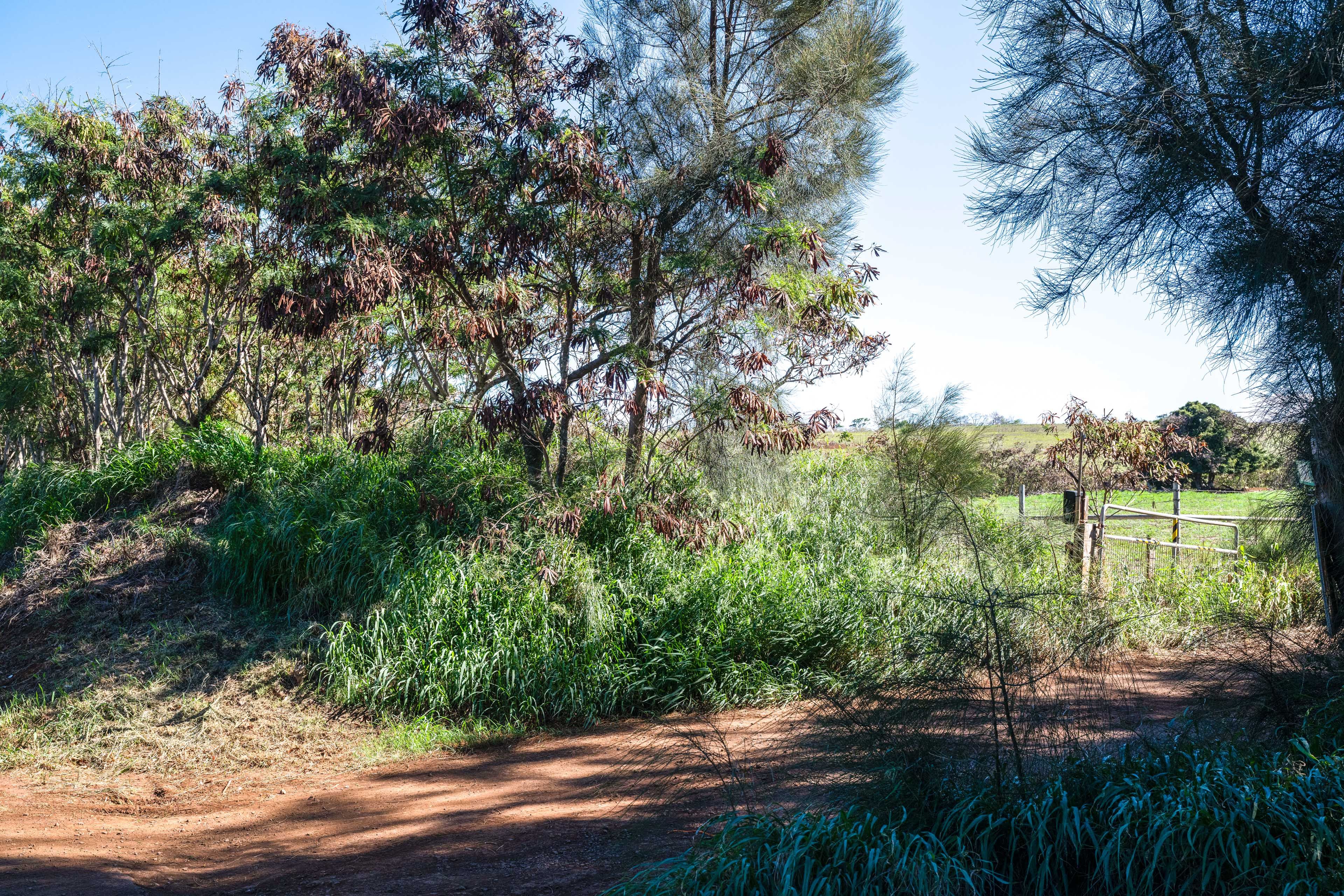 Surrounding Property