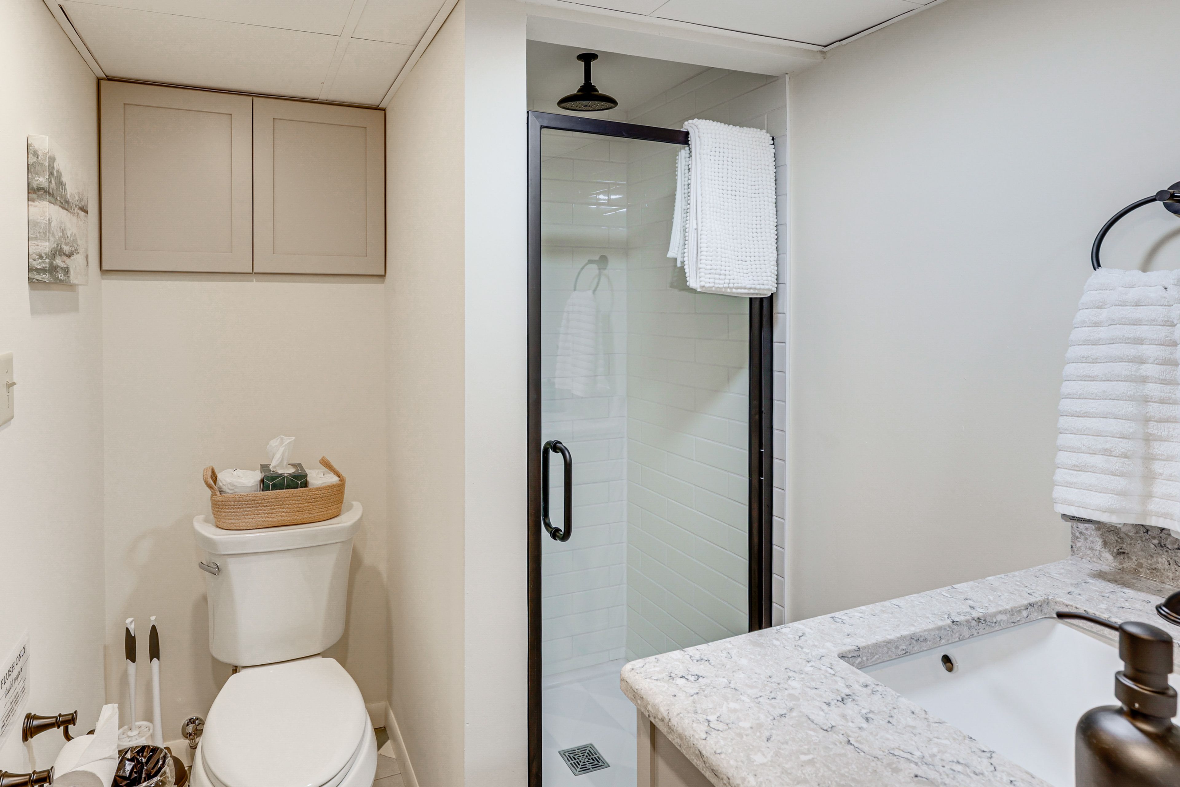 Bathroom | Basement Level