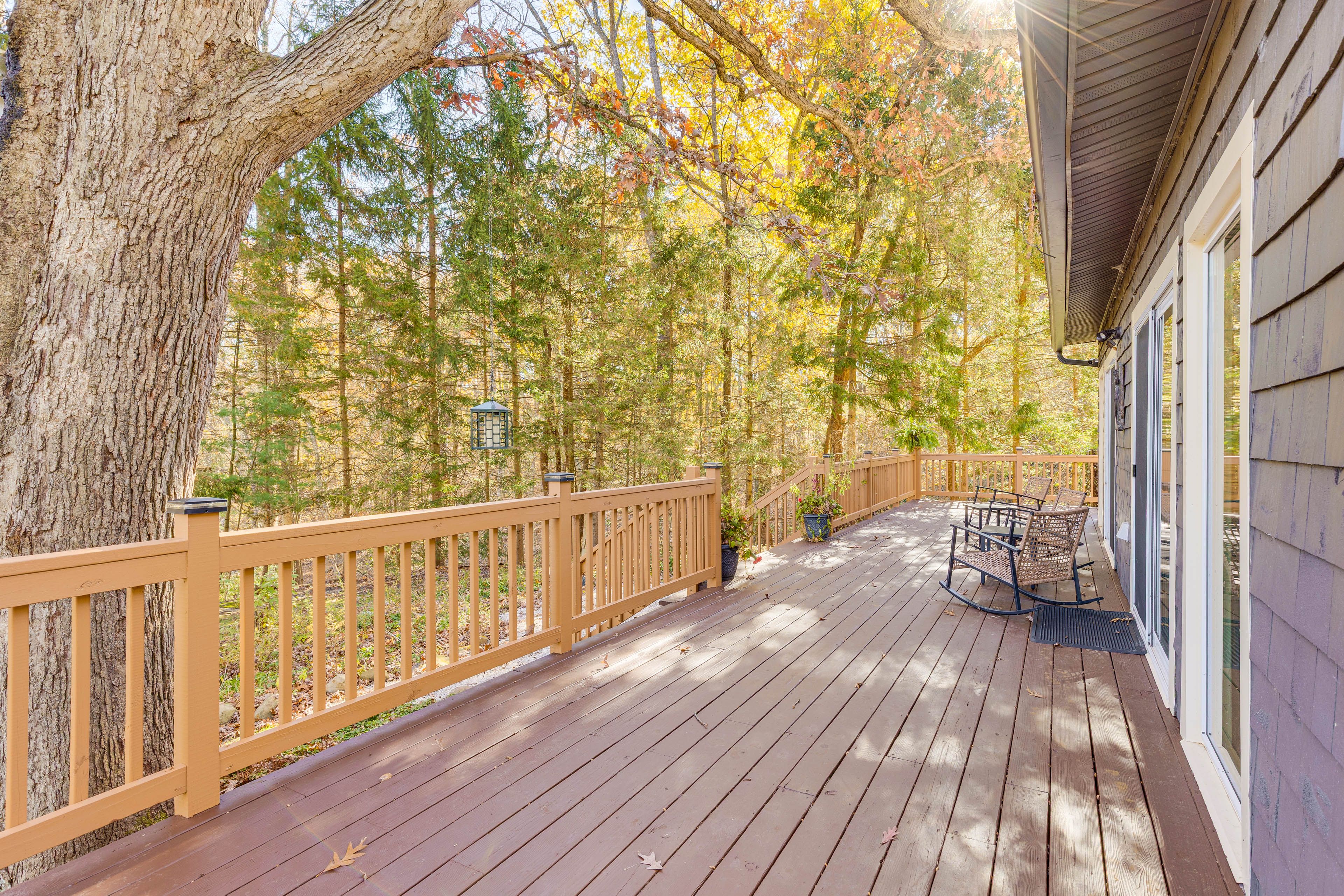 Deck | Wooded Surroundings