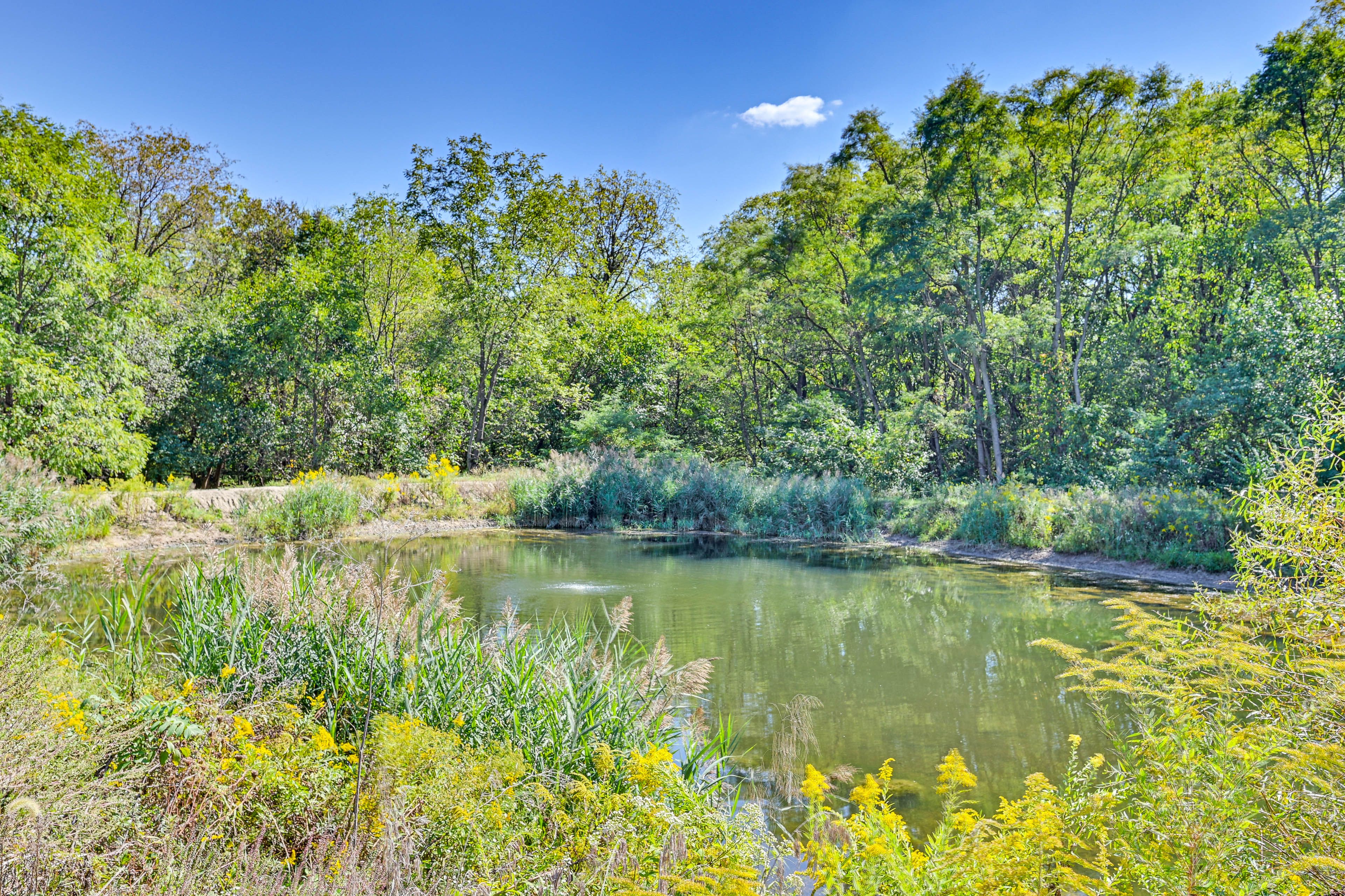 Fishing Pond | Walking Trails