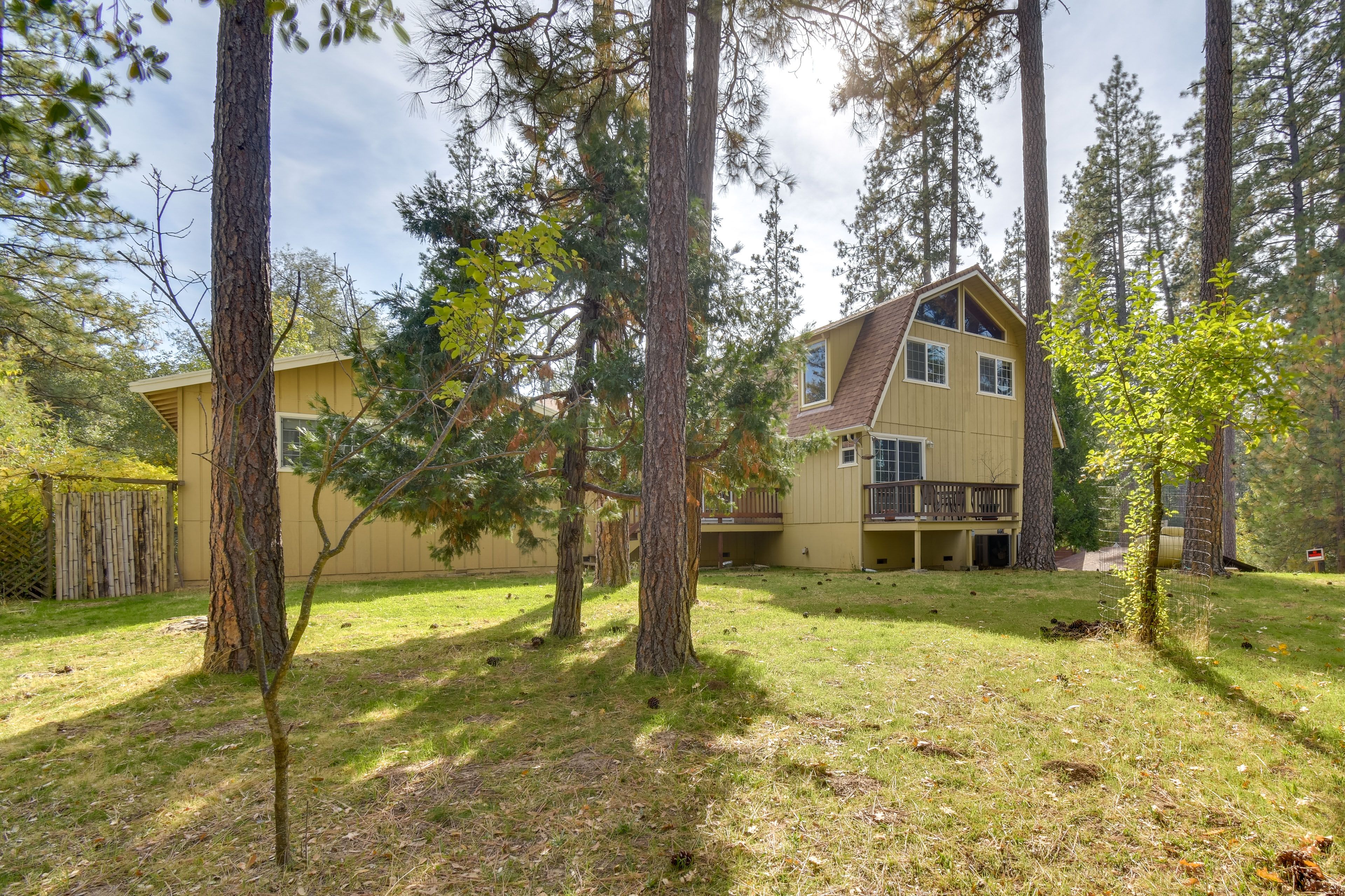 Private Yard (Unfenced)