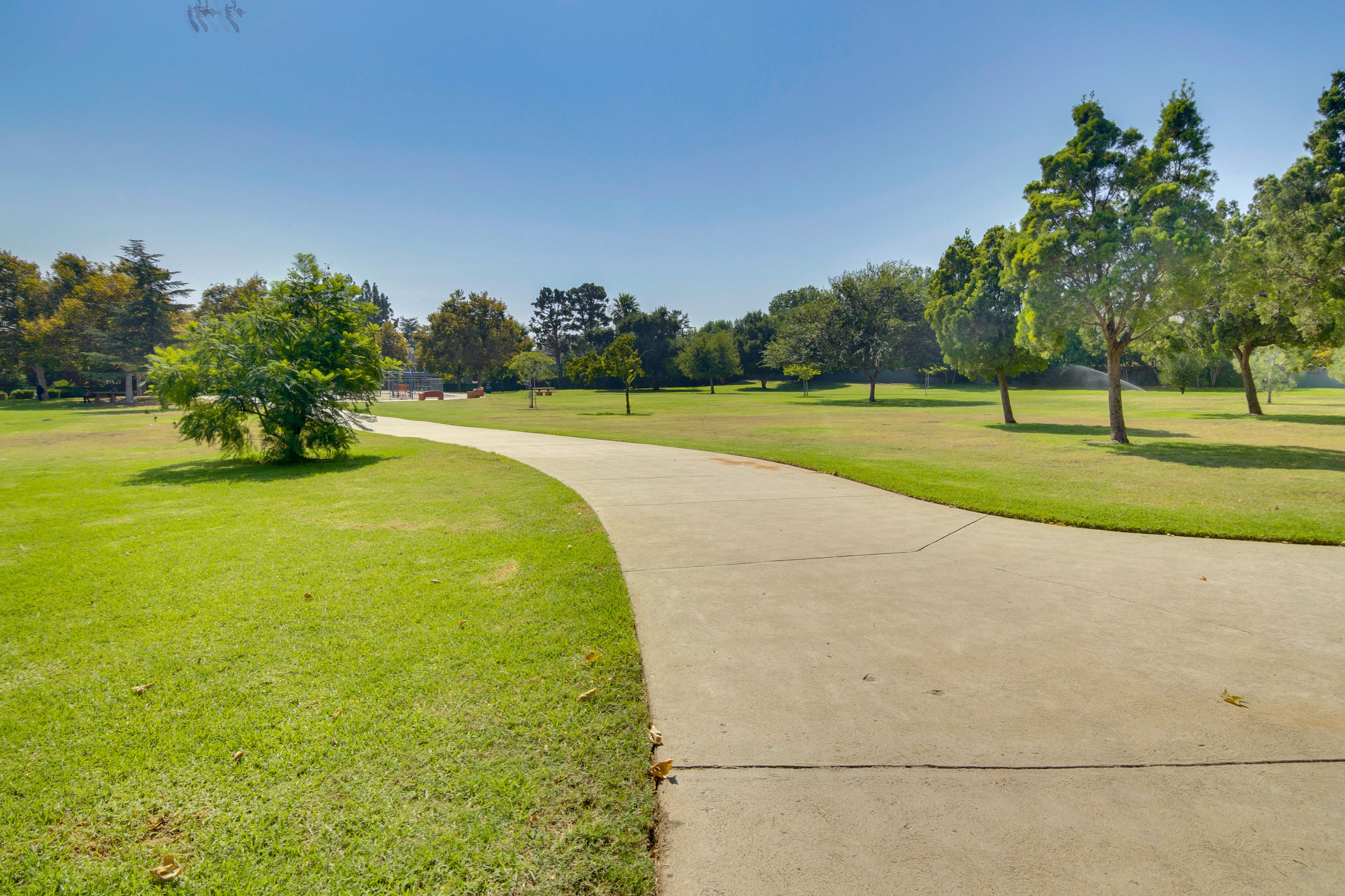 Community Park