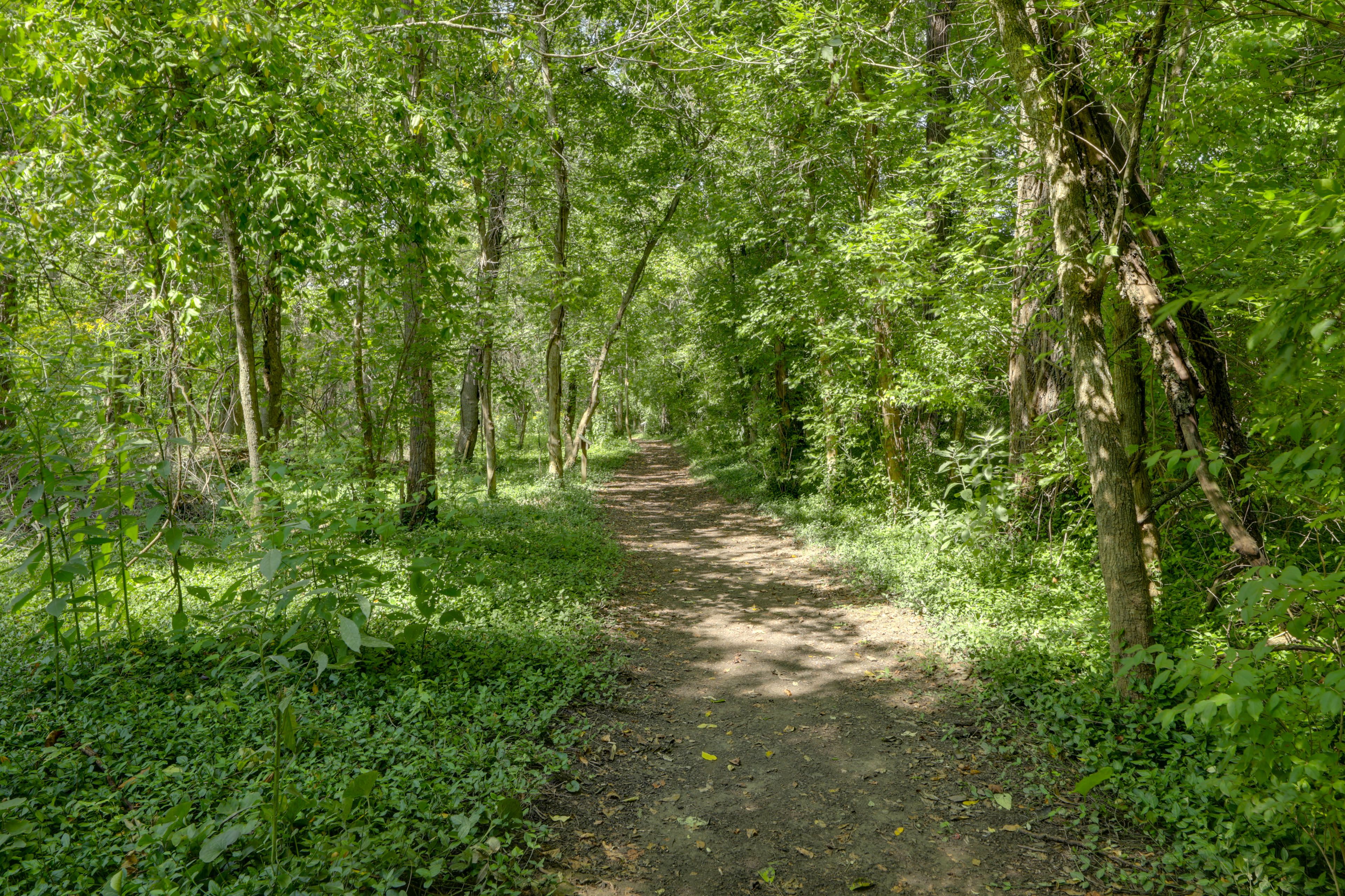 Walking Trail Access