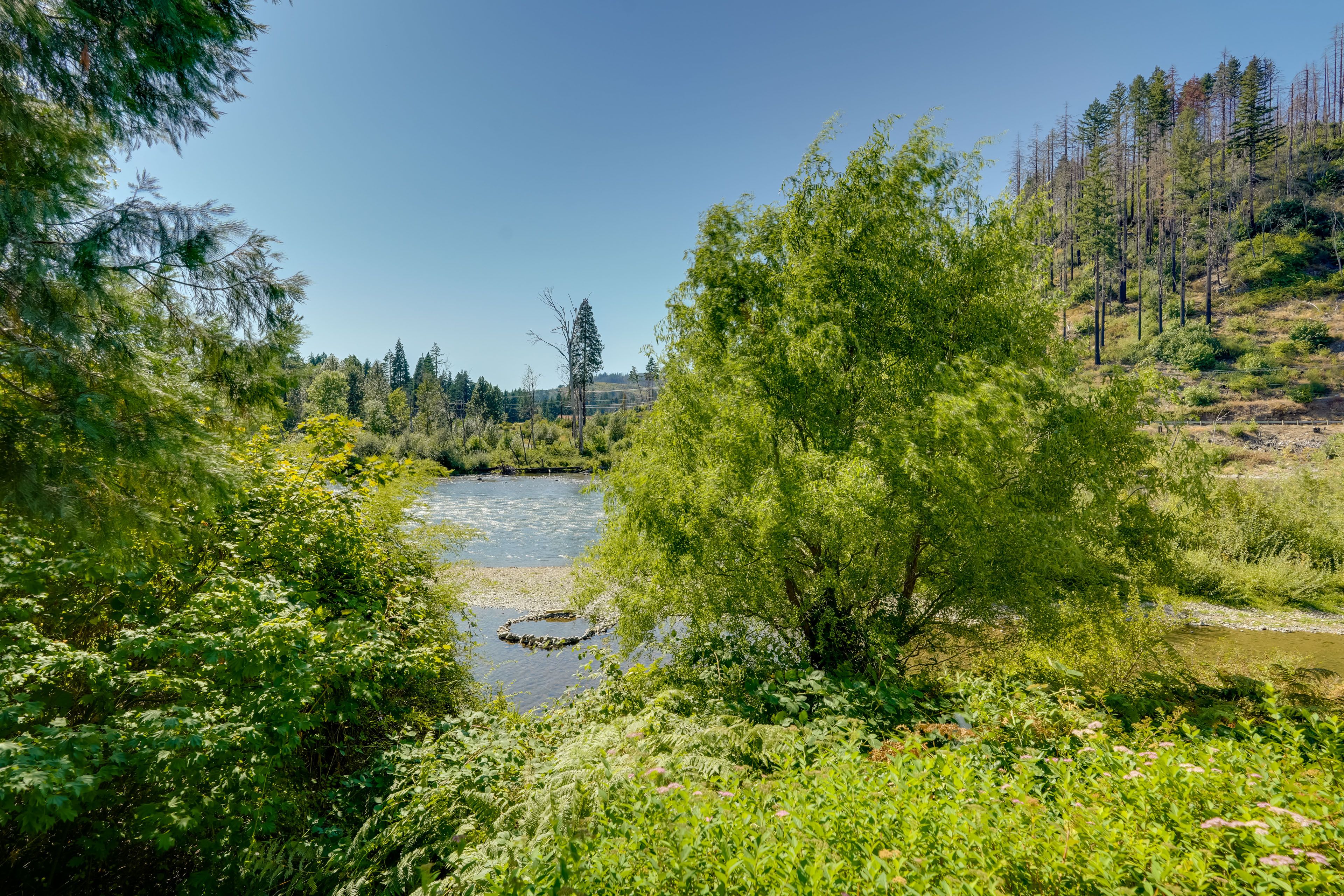 Surrounding Area | McKenzie River