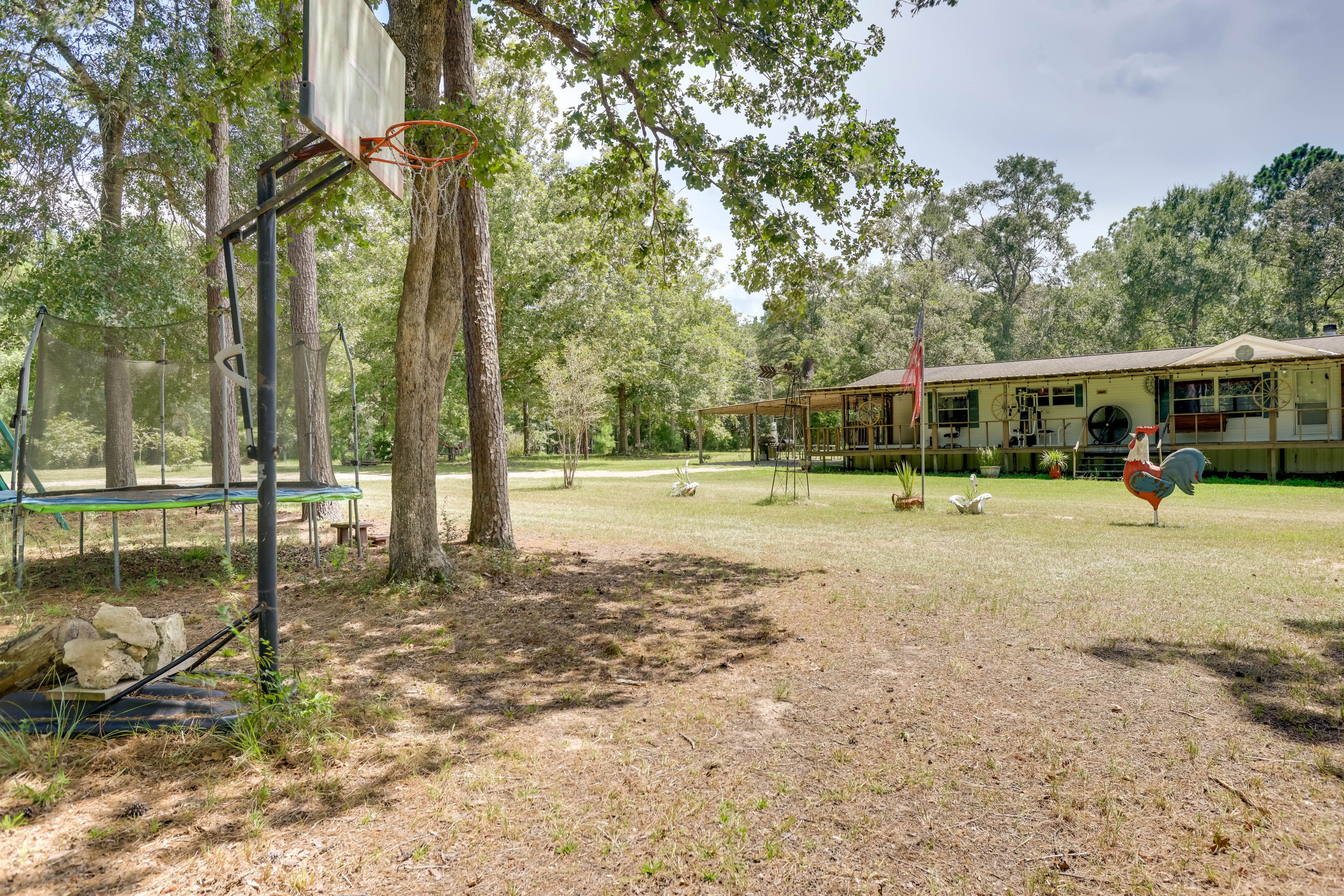 Trampoline | Basketball Hoops