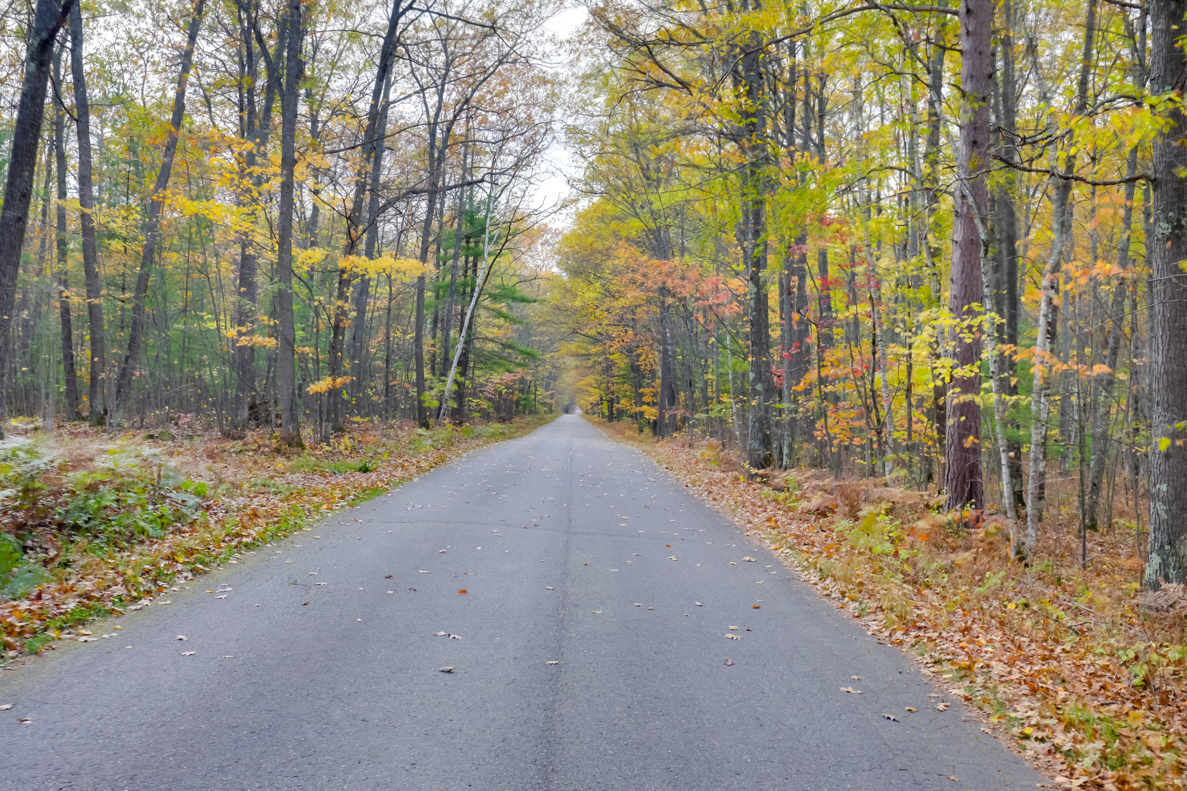 Property Surroundings