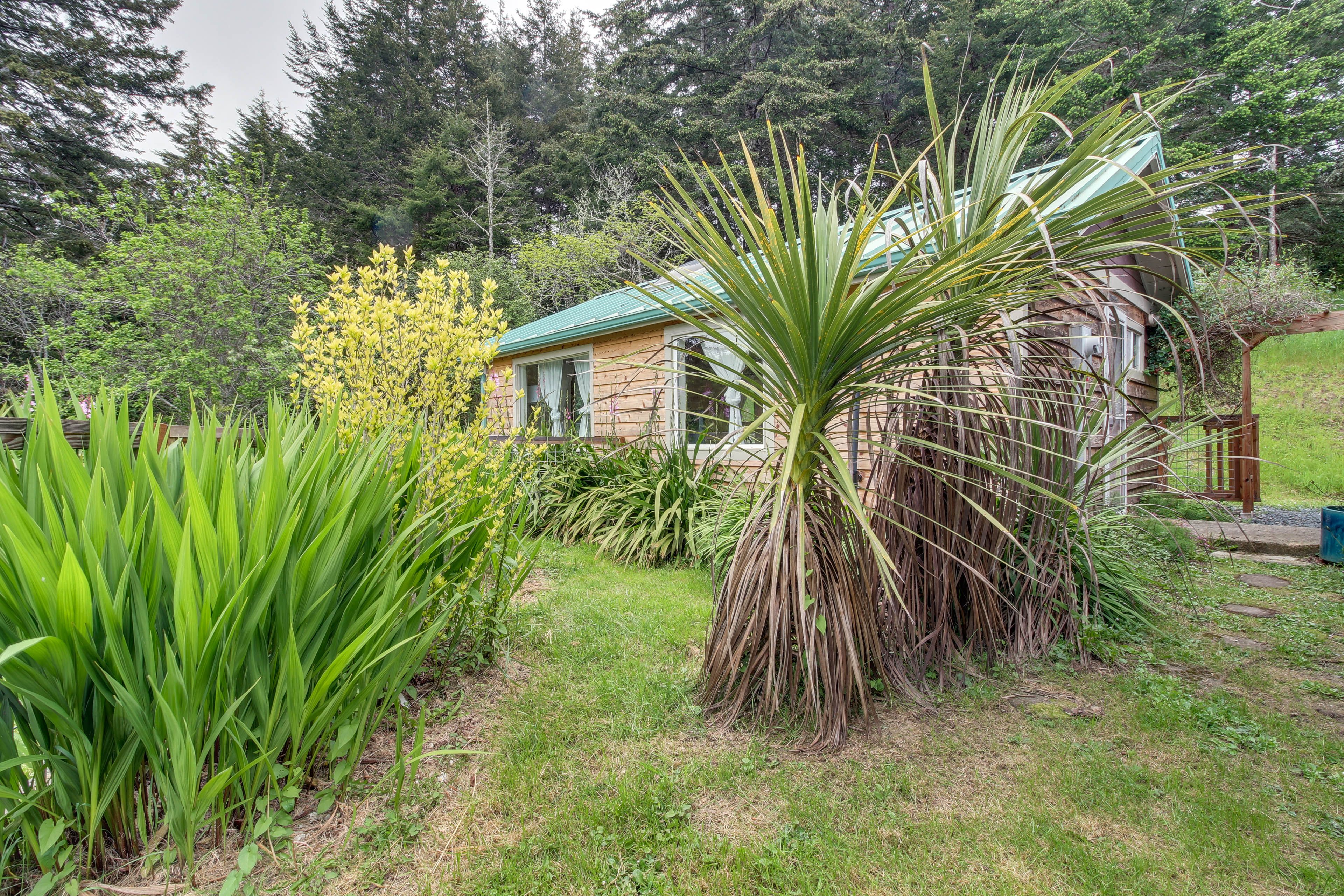 Image 18