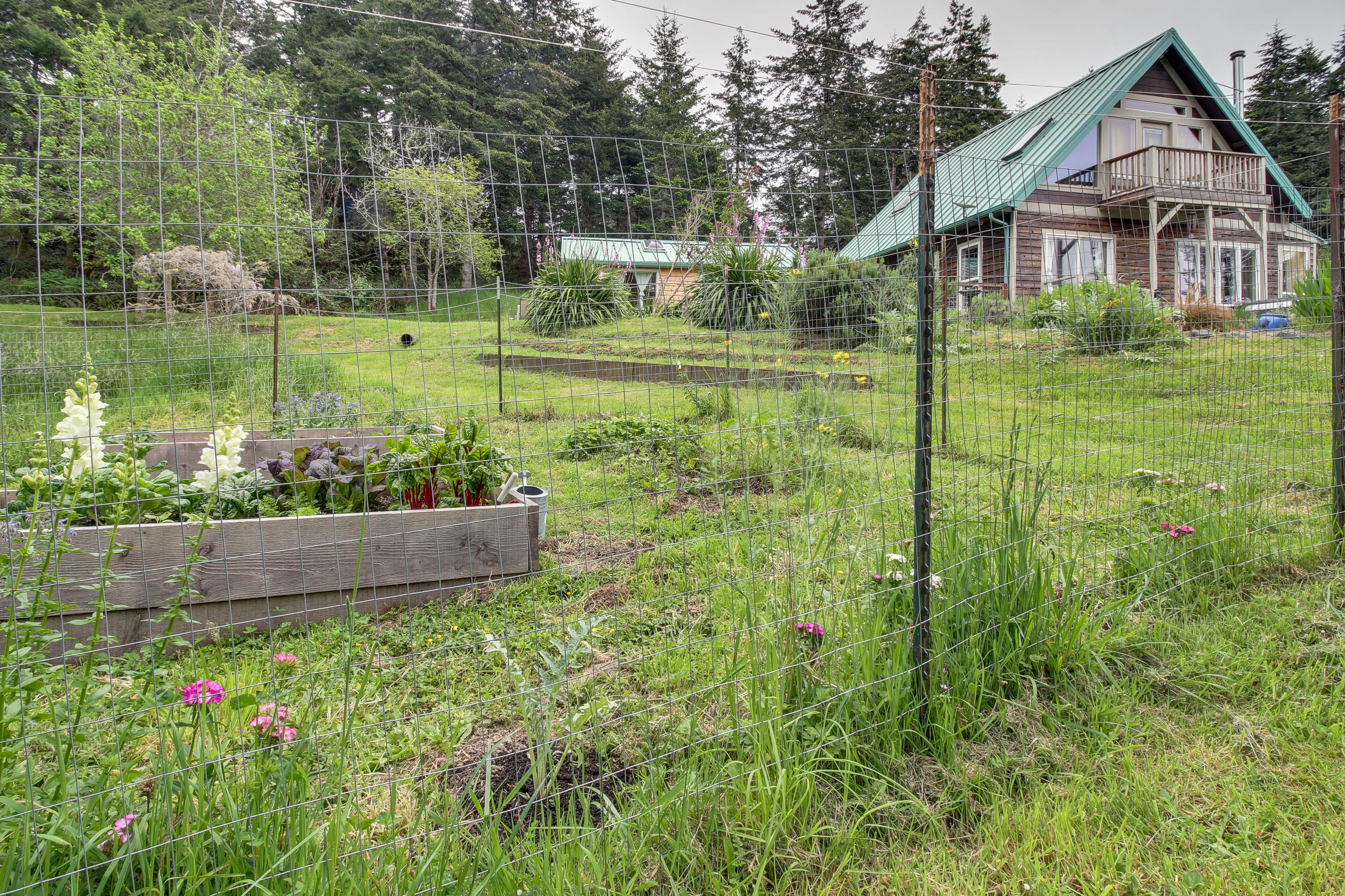 Shared Outdoor Amenities | Trail | Fruit Orchard | Herb Garden | Chicken Coop