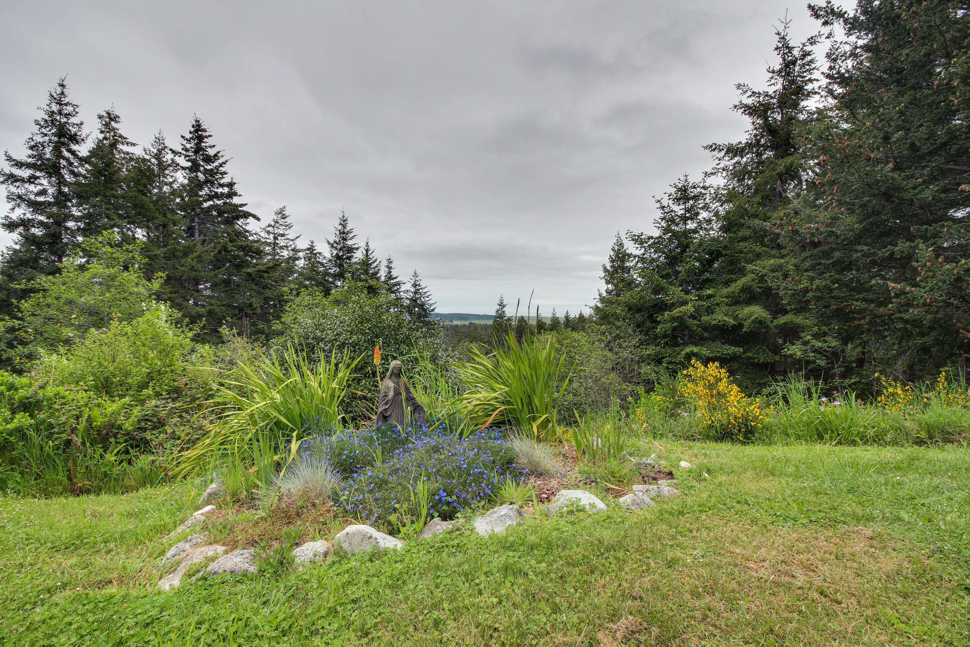 Image 25