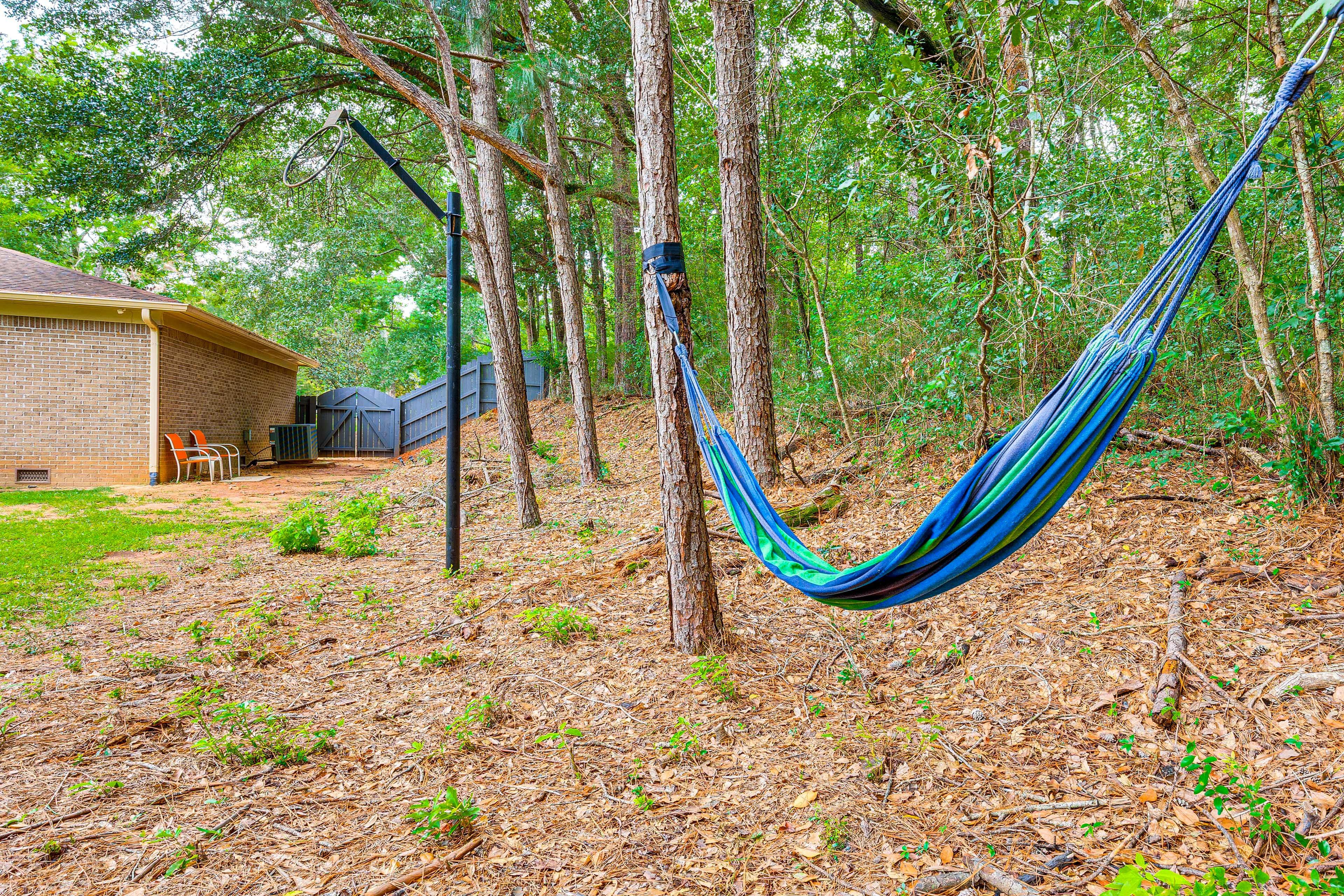 Hammock