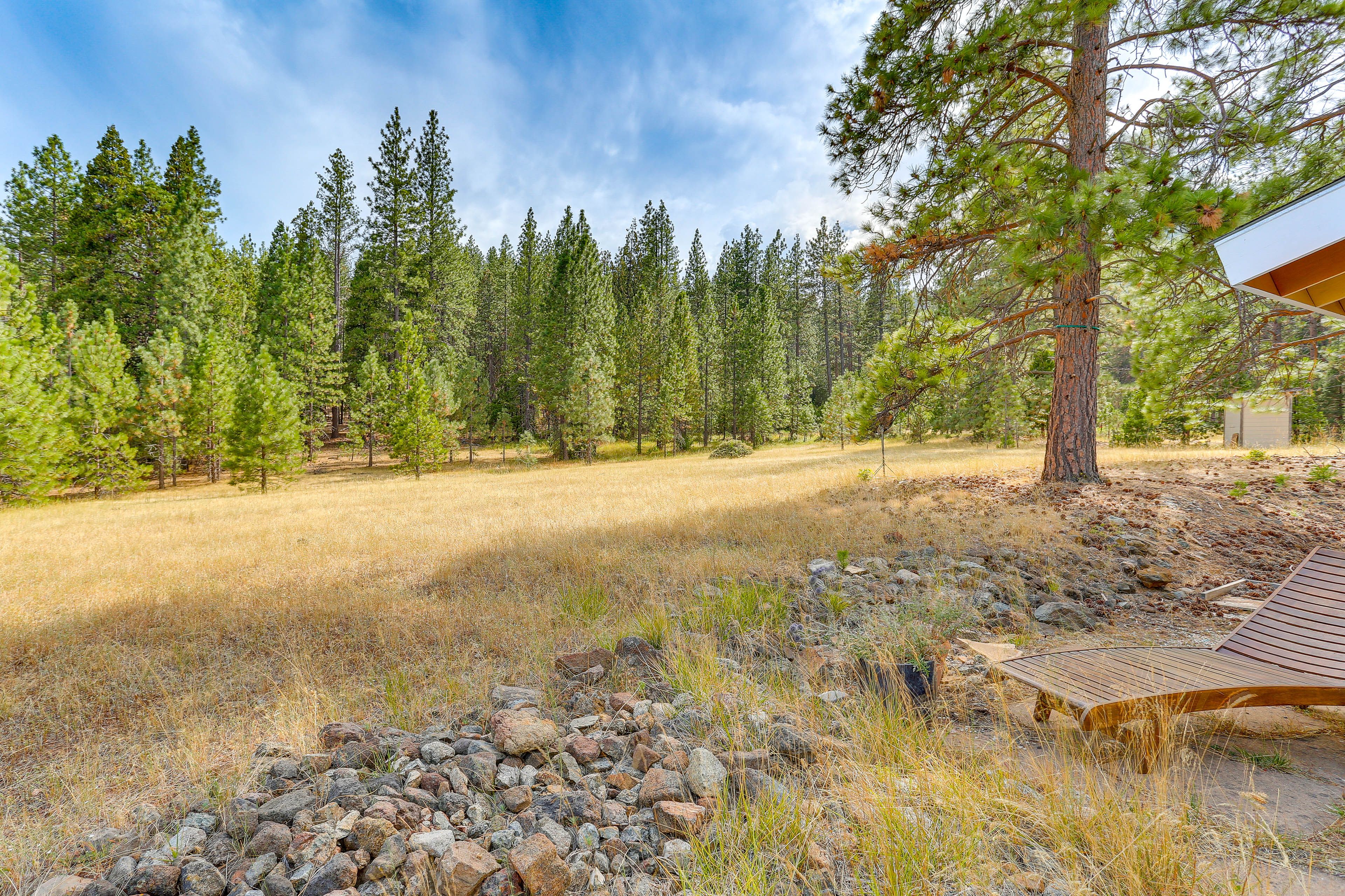 Meadow & Mountain Views