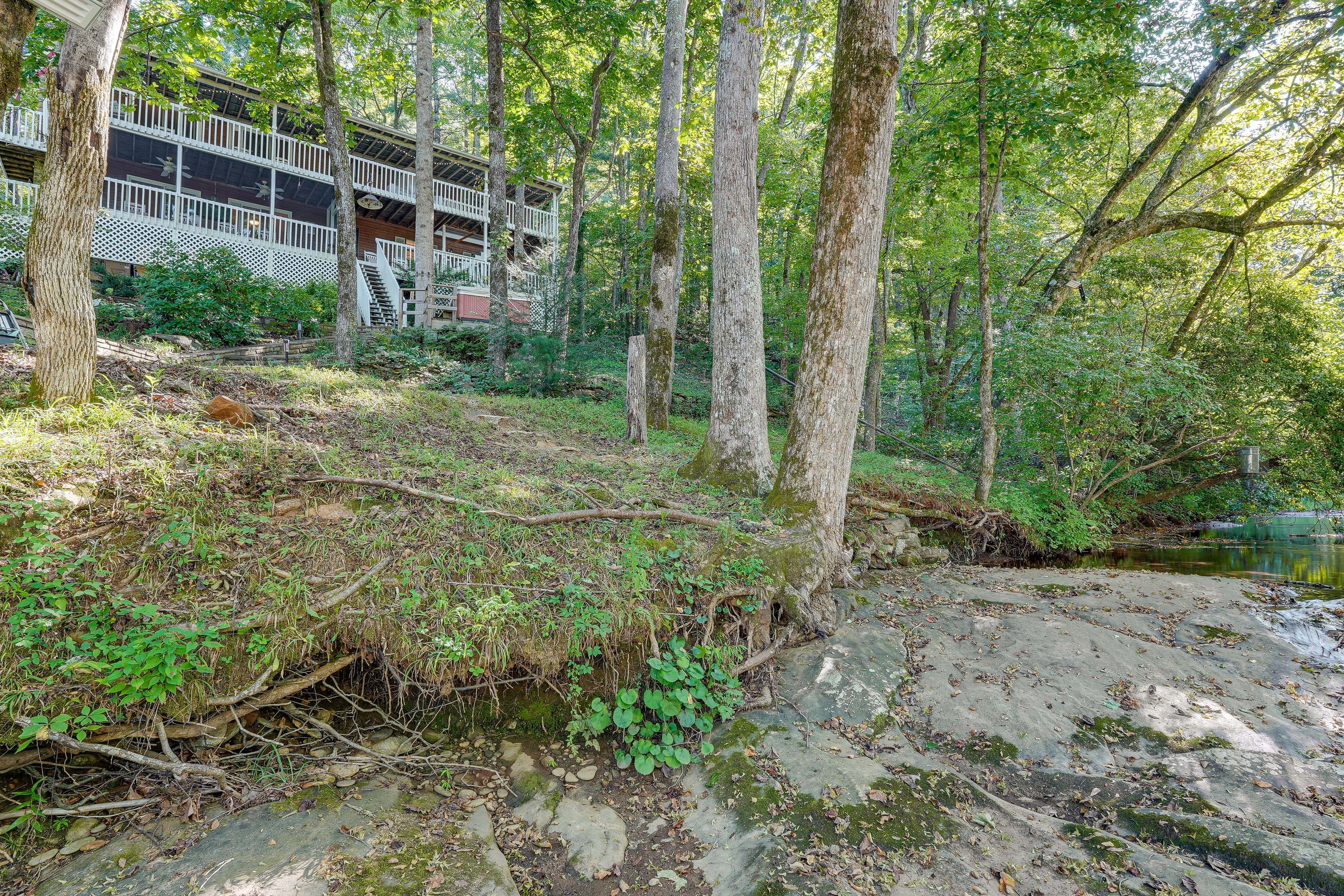 Backyard