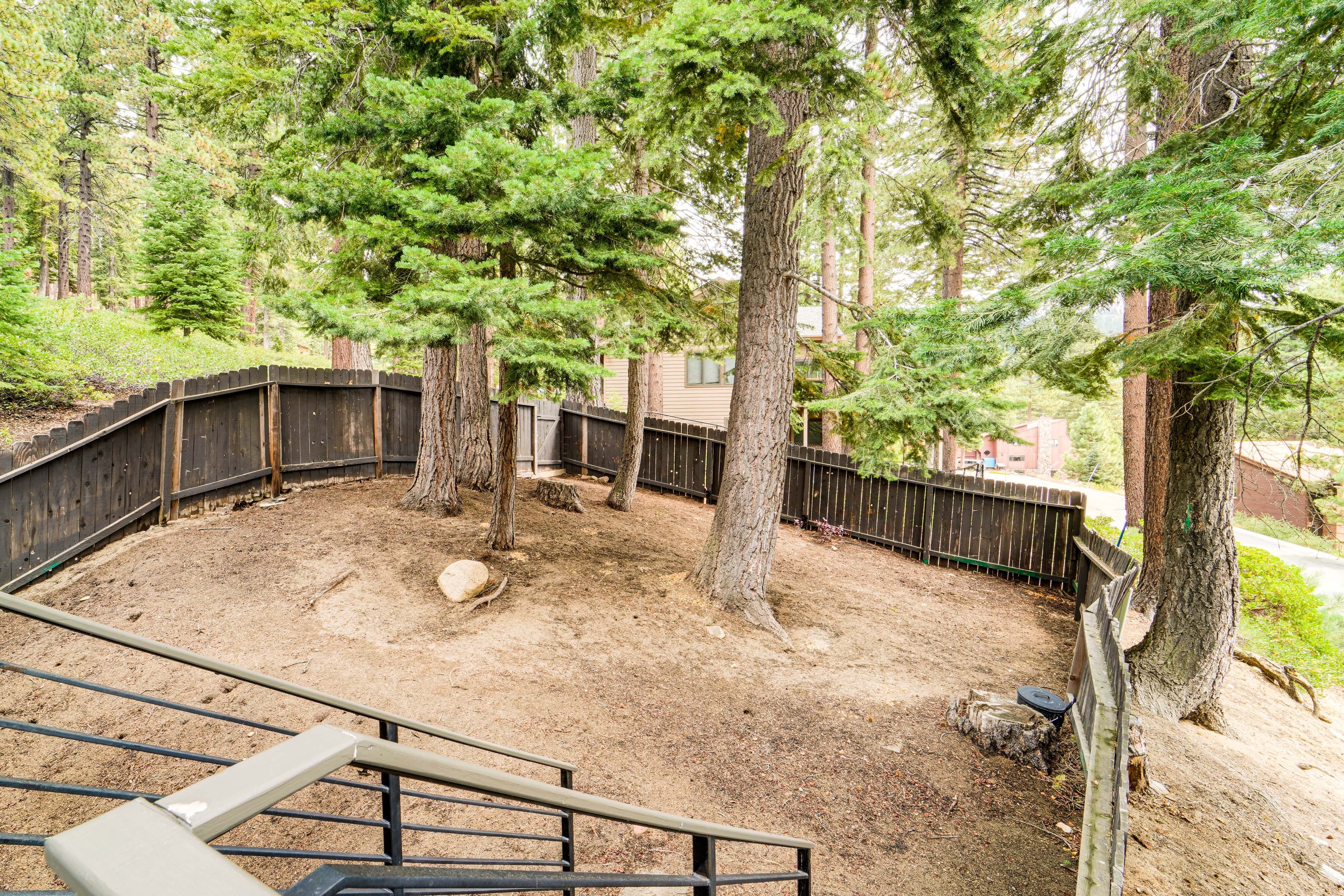 Fenced Backyard