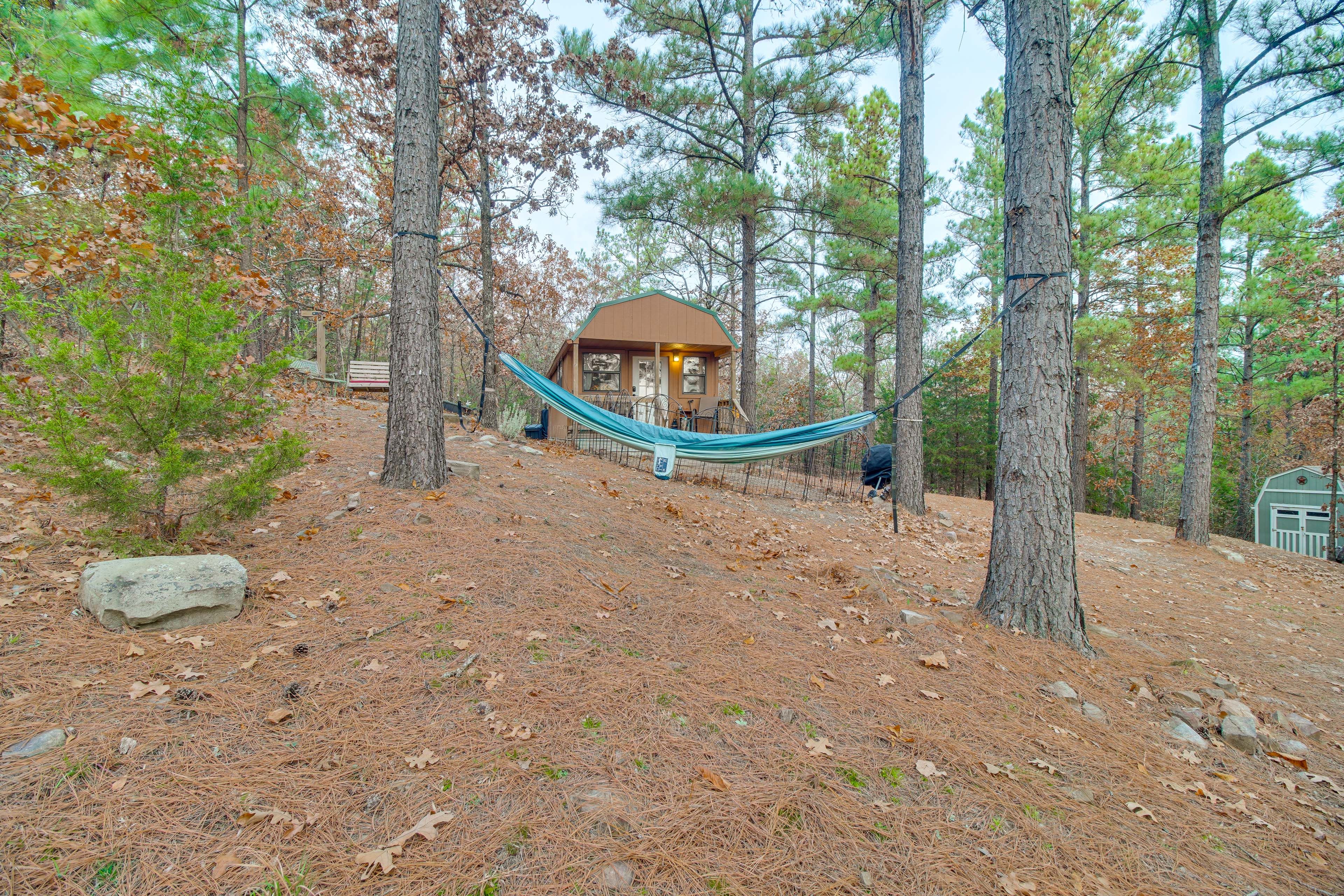 Hammock Area