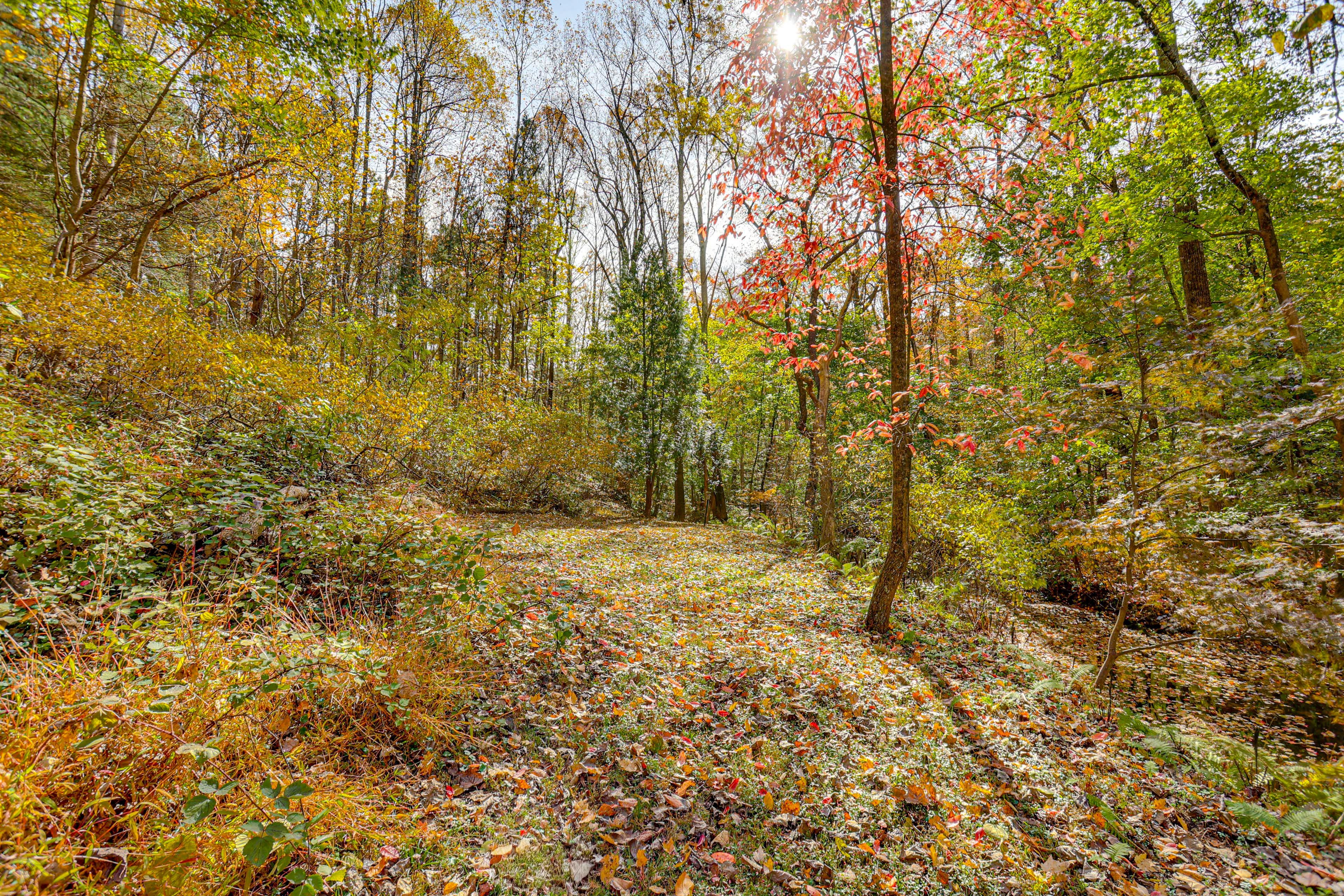 Shared Trail & Creek Access