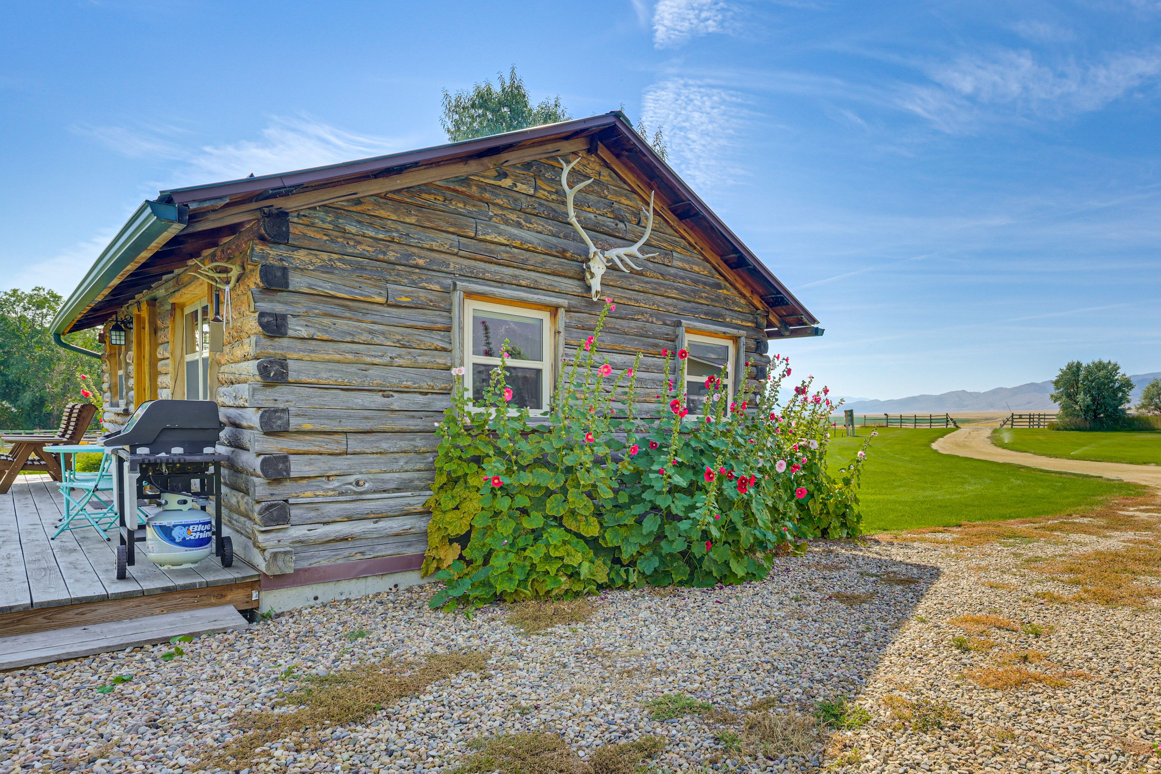 Parking | Driveway (2 Vehicles)