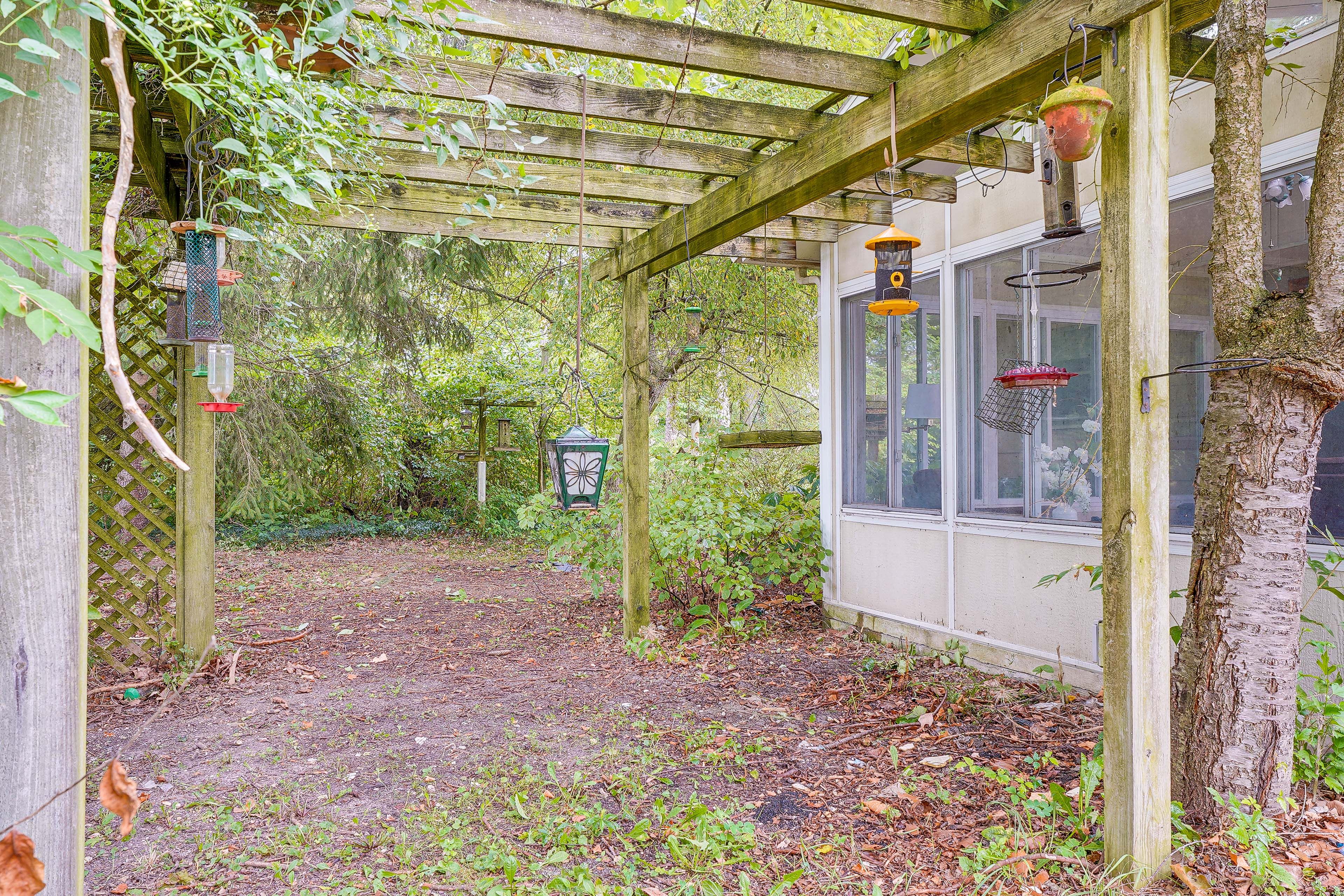 Yard Space | Pergola