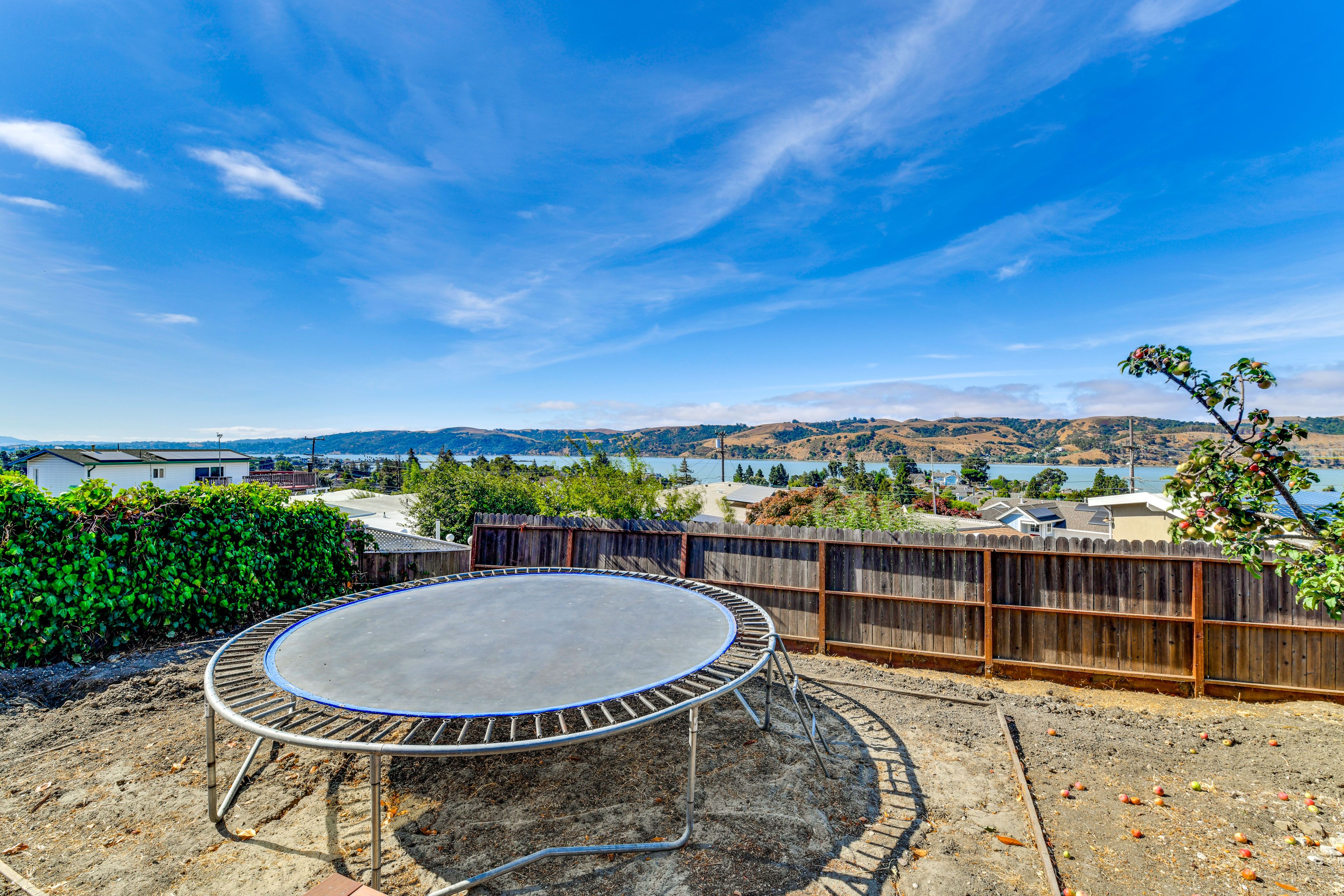 Backyard | Trampoline | Gas Grill