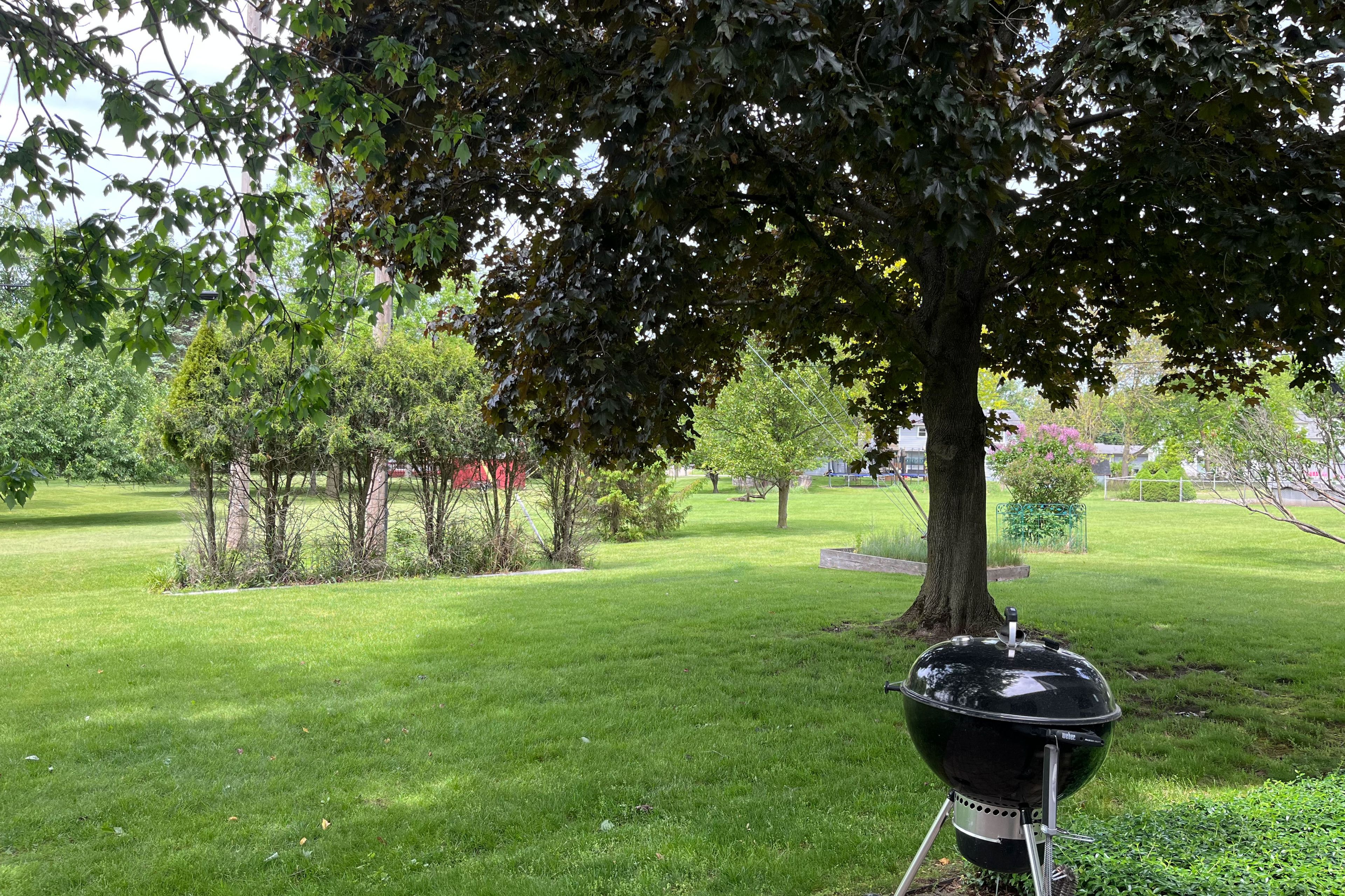 Image 27