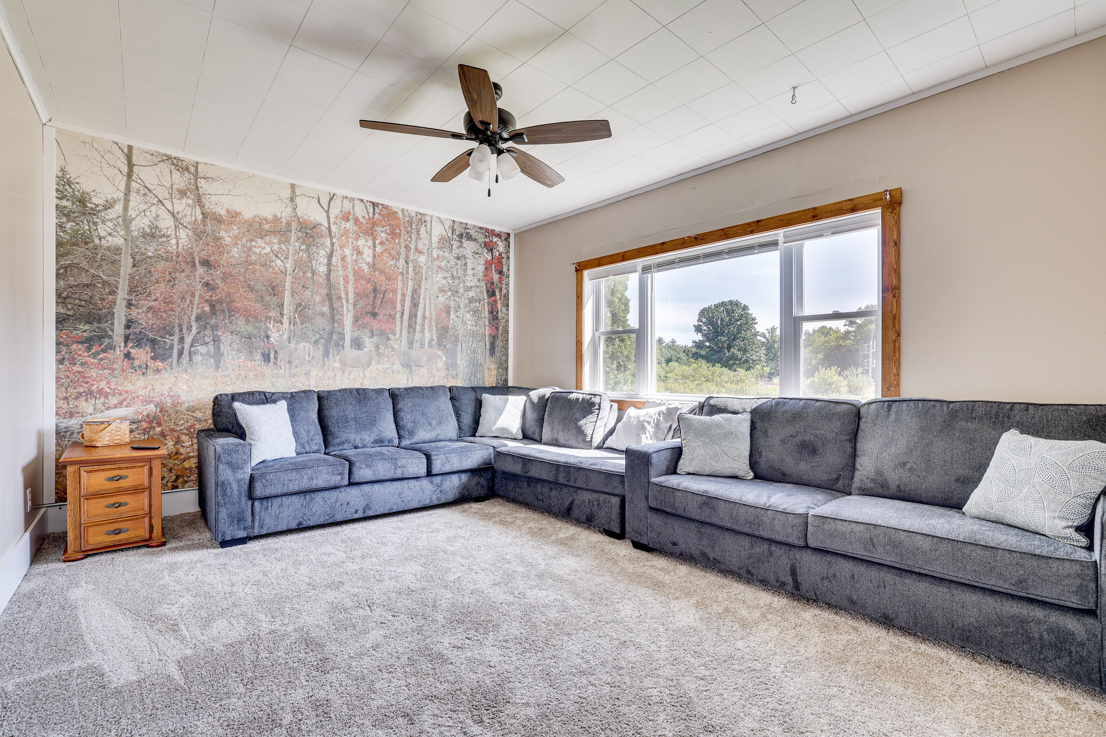 Living Room | Smart TV | Queen Sleeper Sofa | Full Sleeper Sofa | 1st Floor