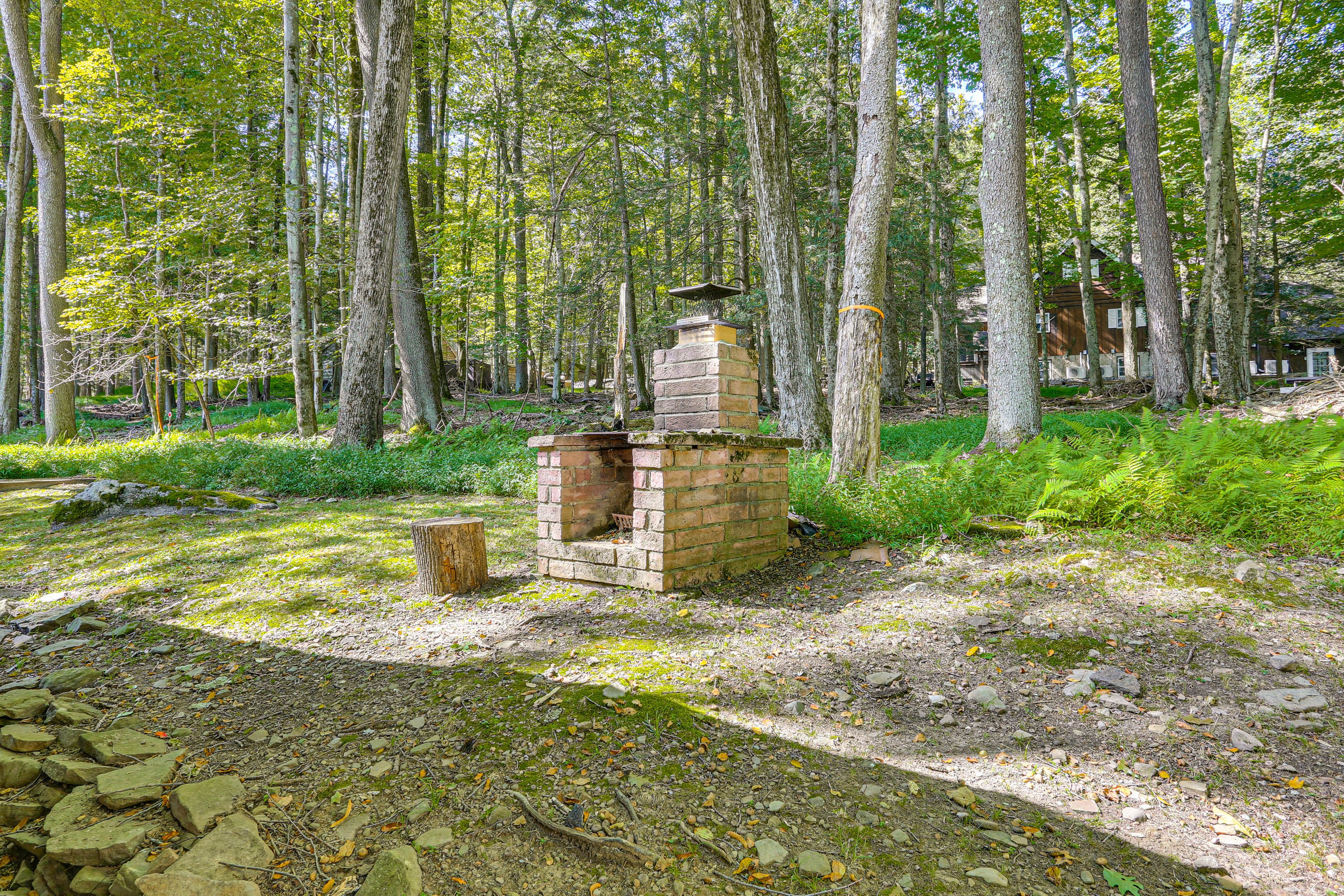 Wood-Burning Fireplace