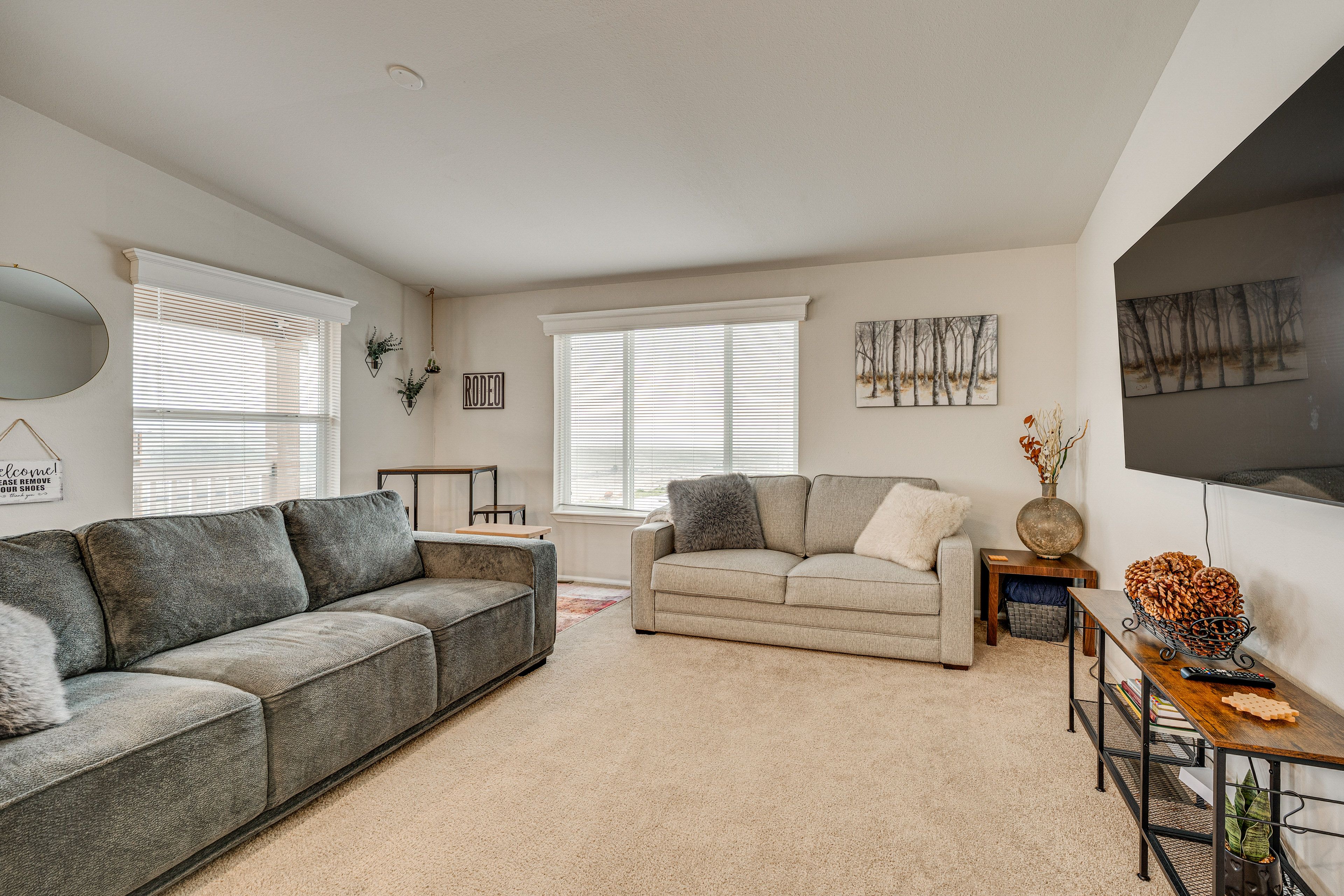 Living Area | Full Sleeper Sofa | TV | Books | Board Games