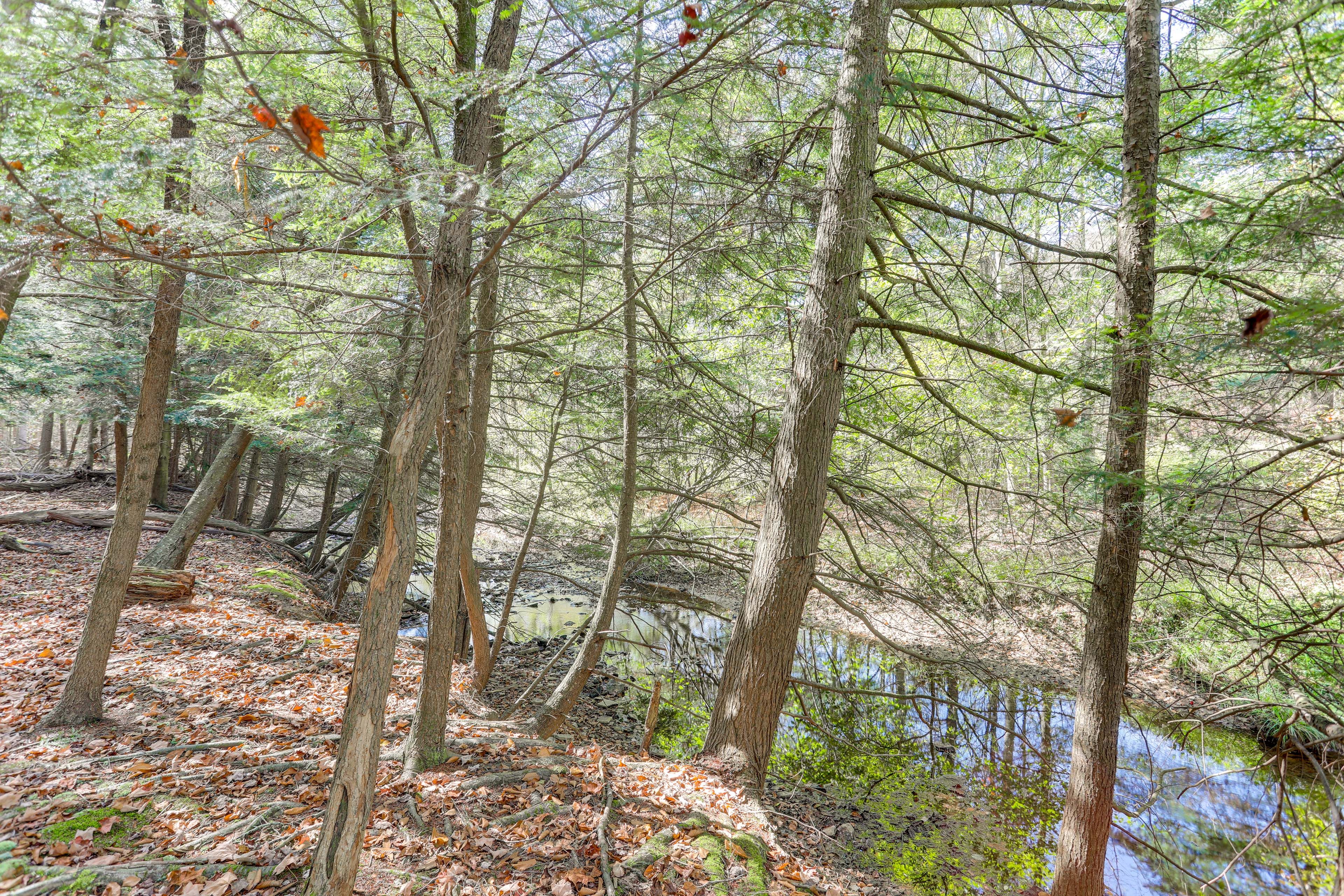 Forested & Secluded | 8 Private Acres