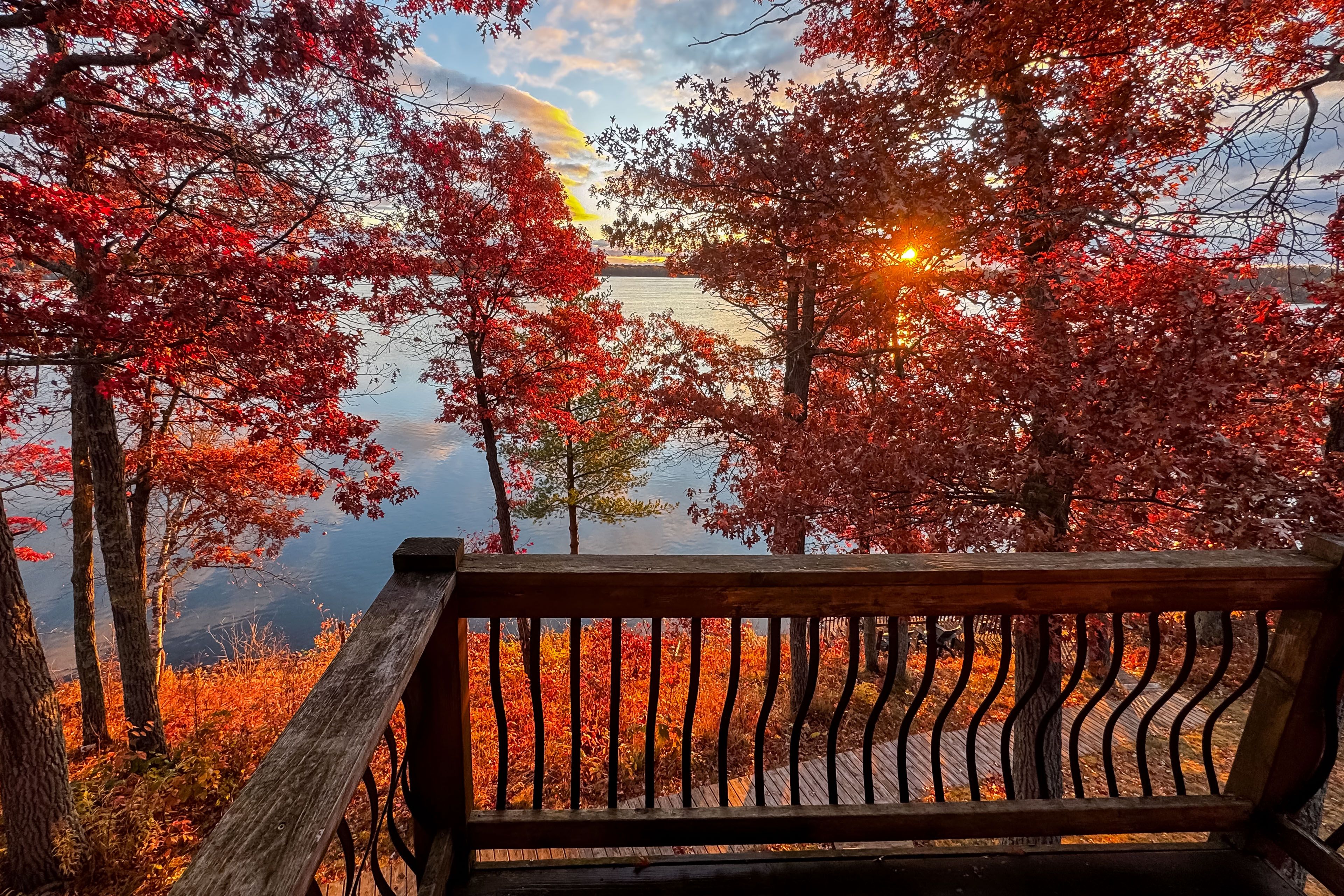 Balcony | Foliage Views