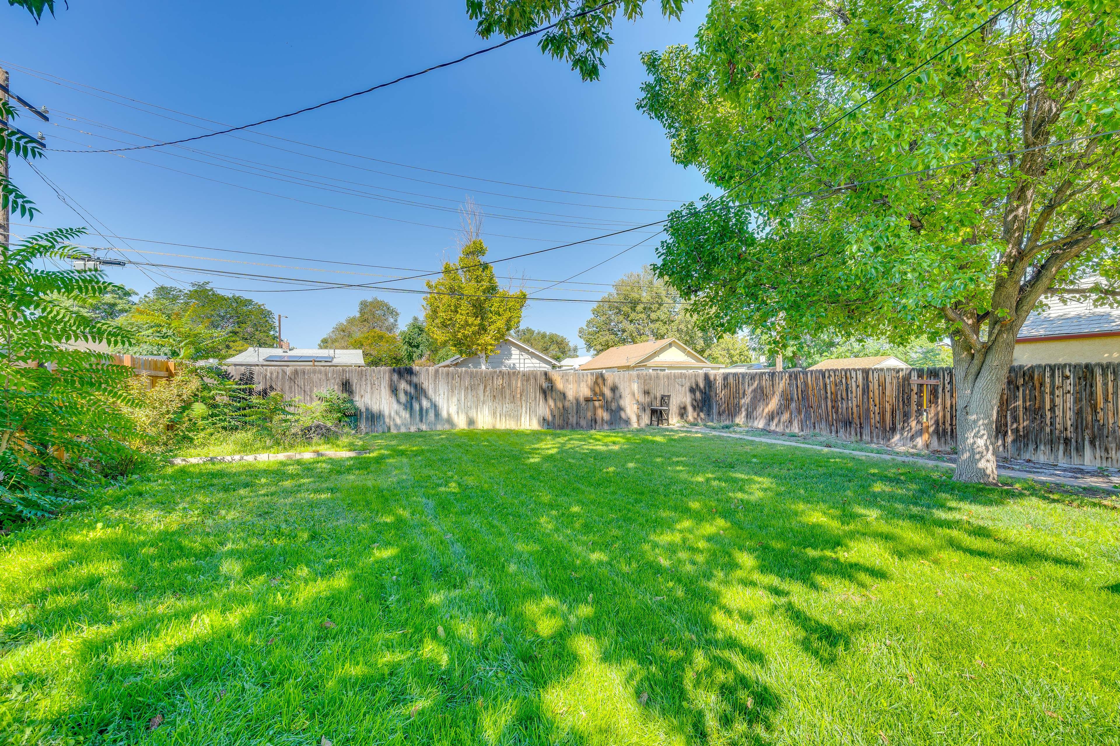 Backyard